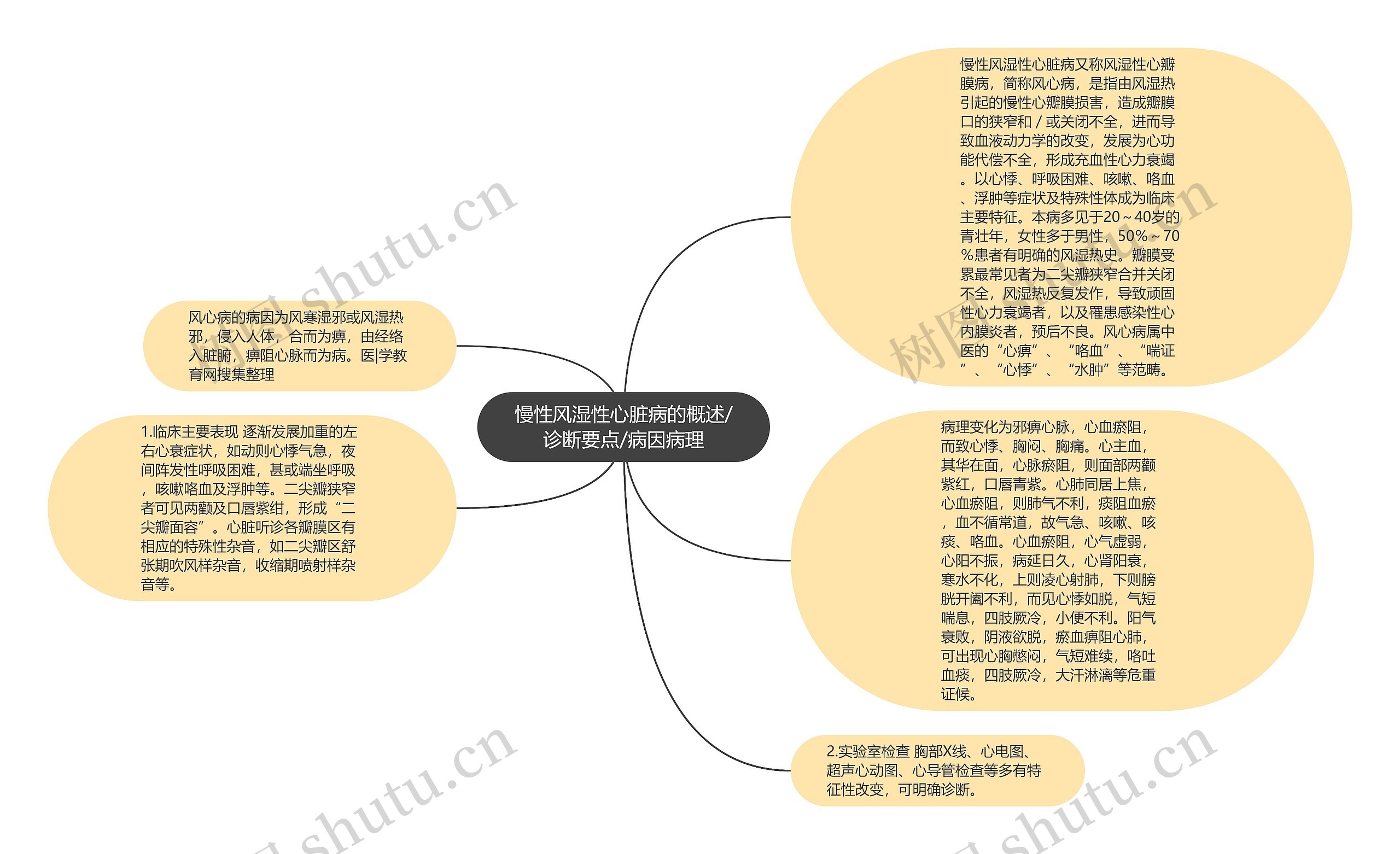 慢性风湿性心脏病的概述/诊断要点/病因病理