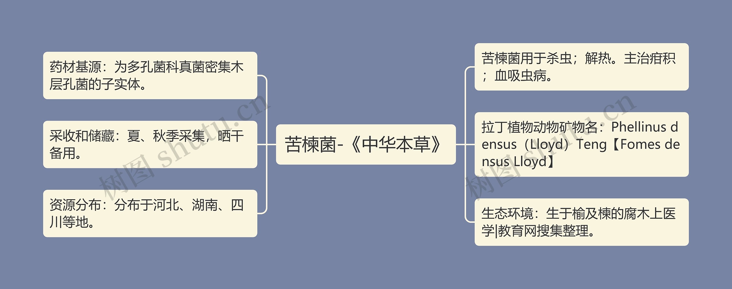 苦楝菌-《中华本草》思维导图