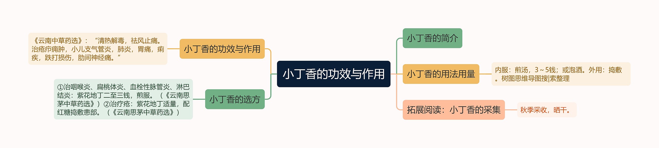 小丁香的功效与作用思维导图