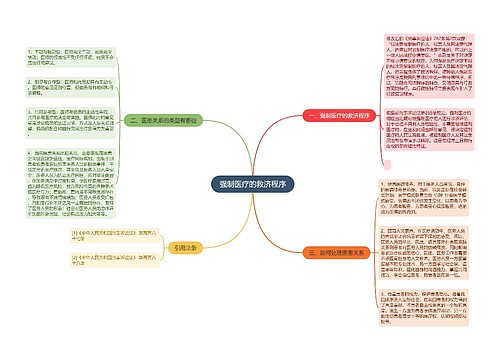 强制医疗的救济程序