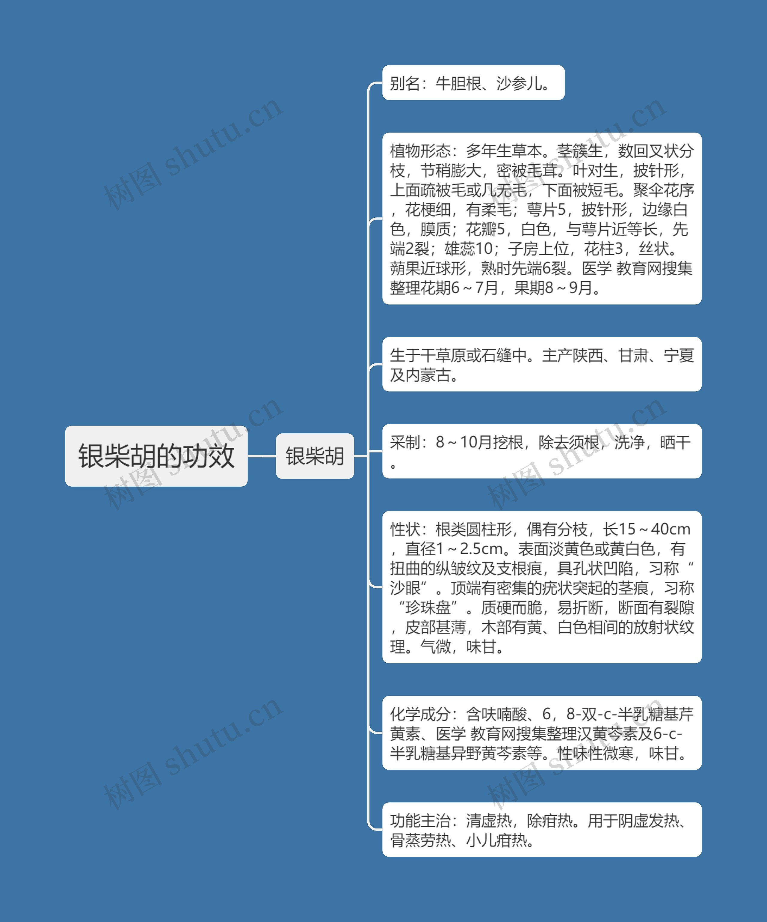 银柴胡的功效思维导图