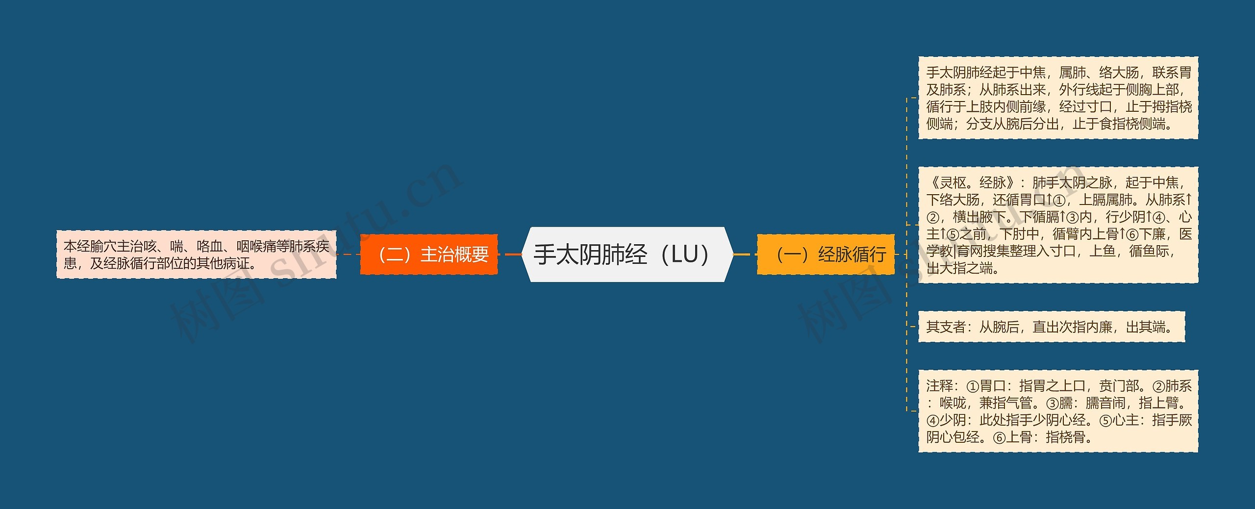 手太阴肺经（LU）思维导图
