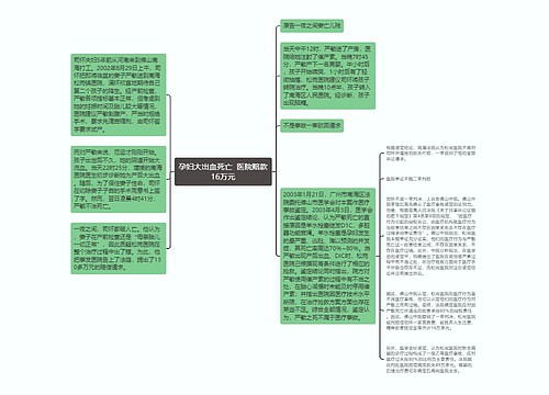 孕妇大出血死亡  医院赔款16万元