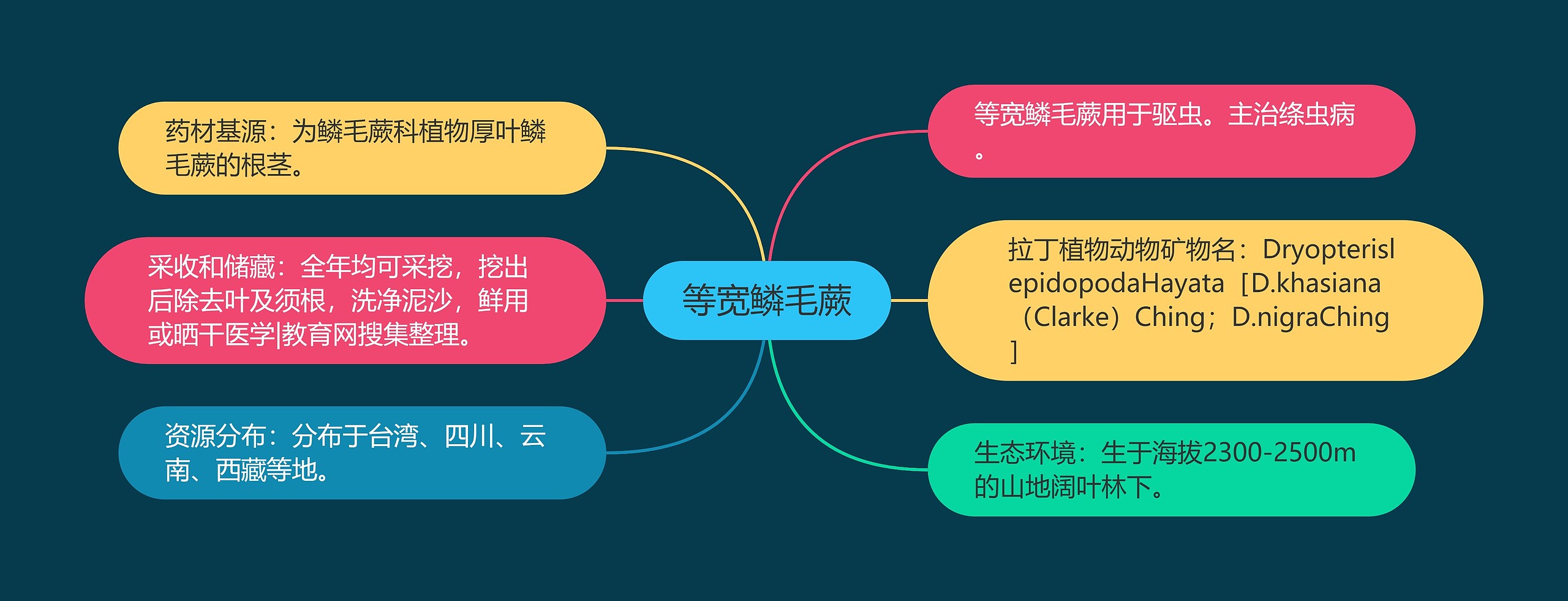 等宽鳞毛蕨思维导图