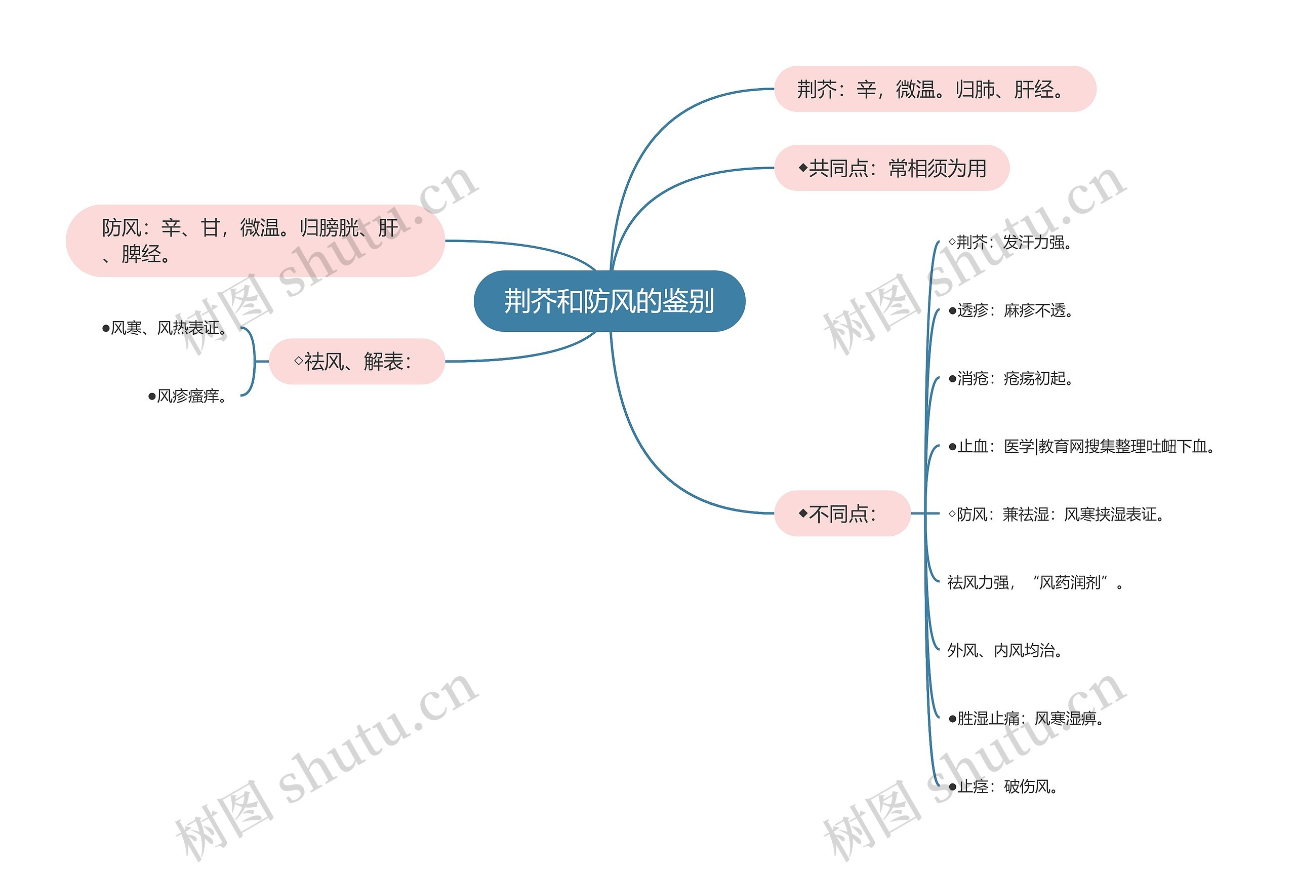 荆芥和防风的鉴别思维导图