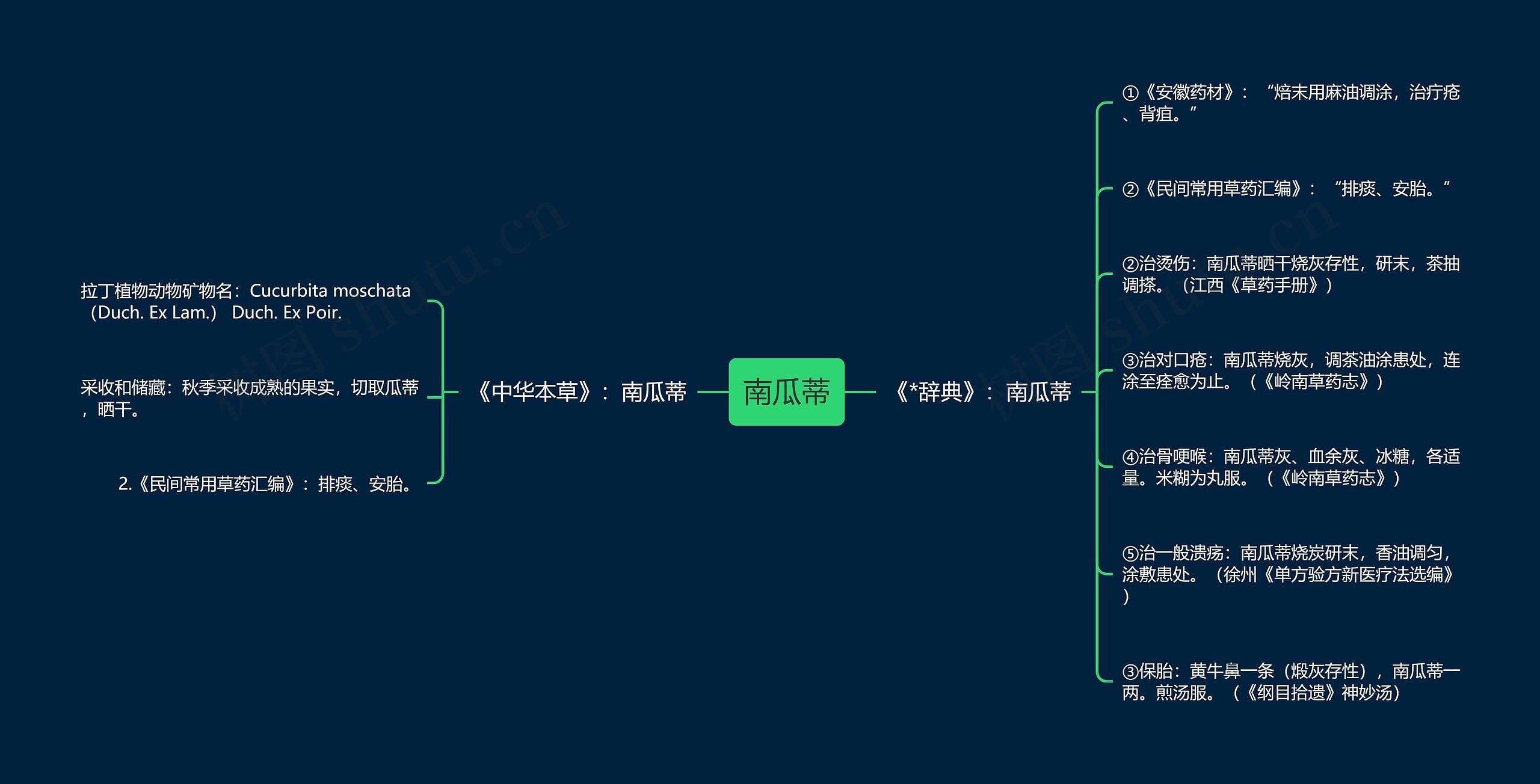 南瓜蒂思维导图