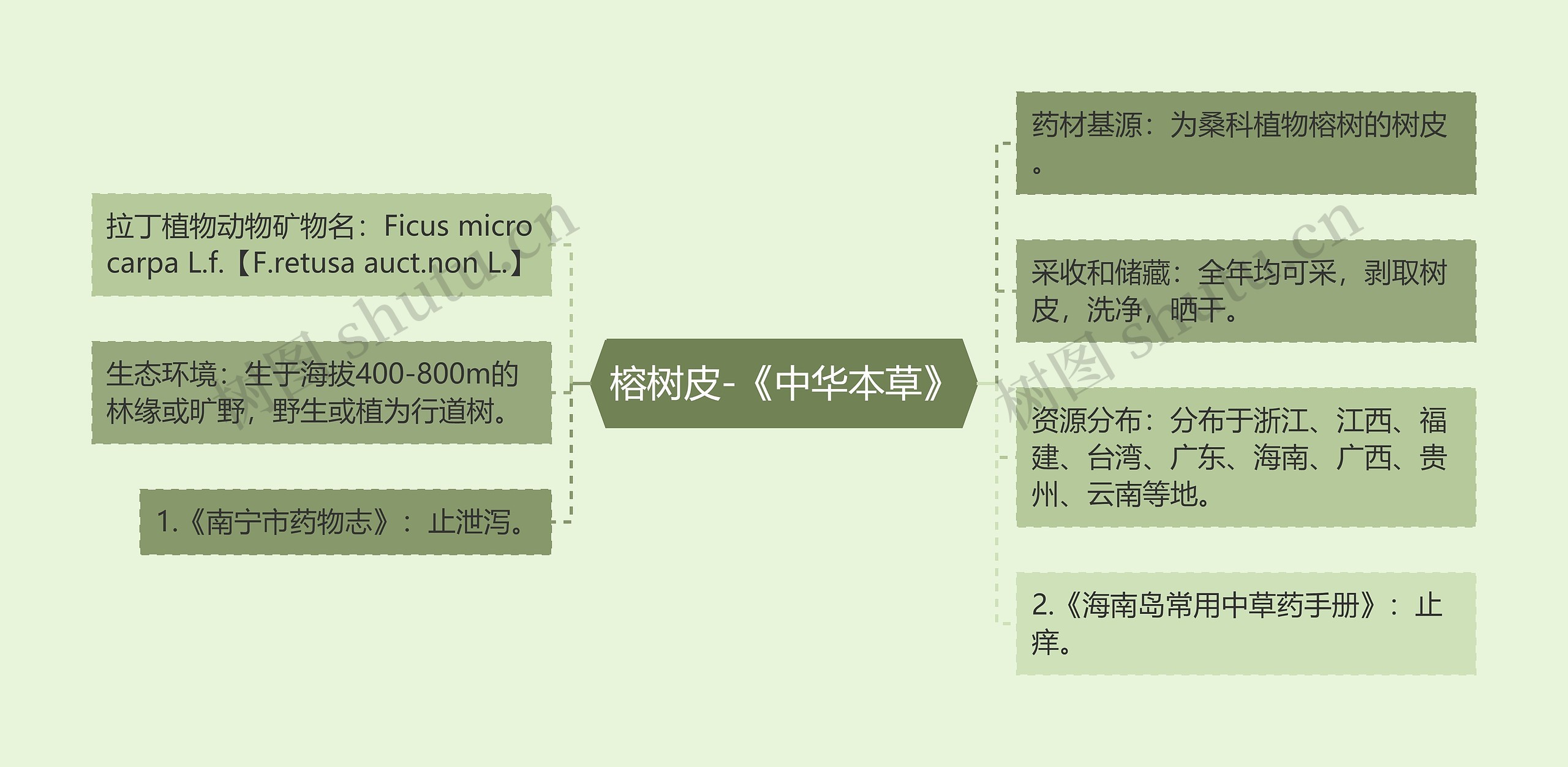 榕树皮-《中华本草》