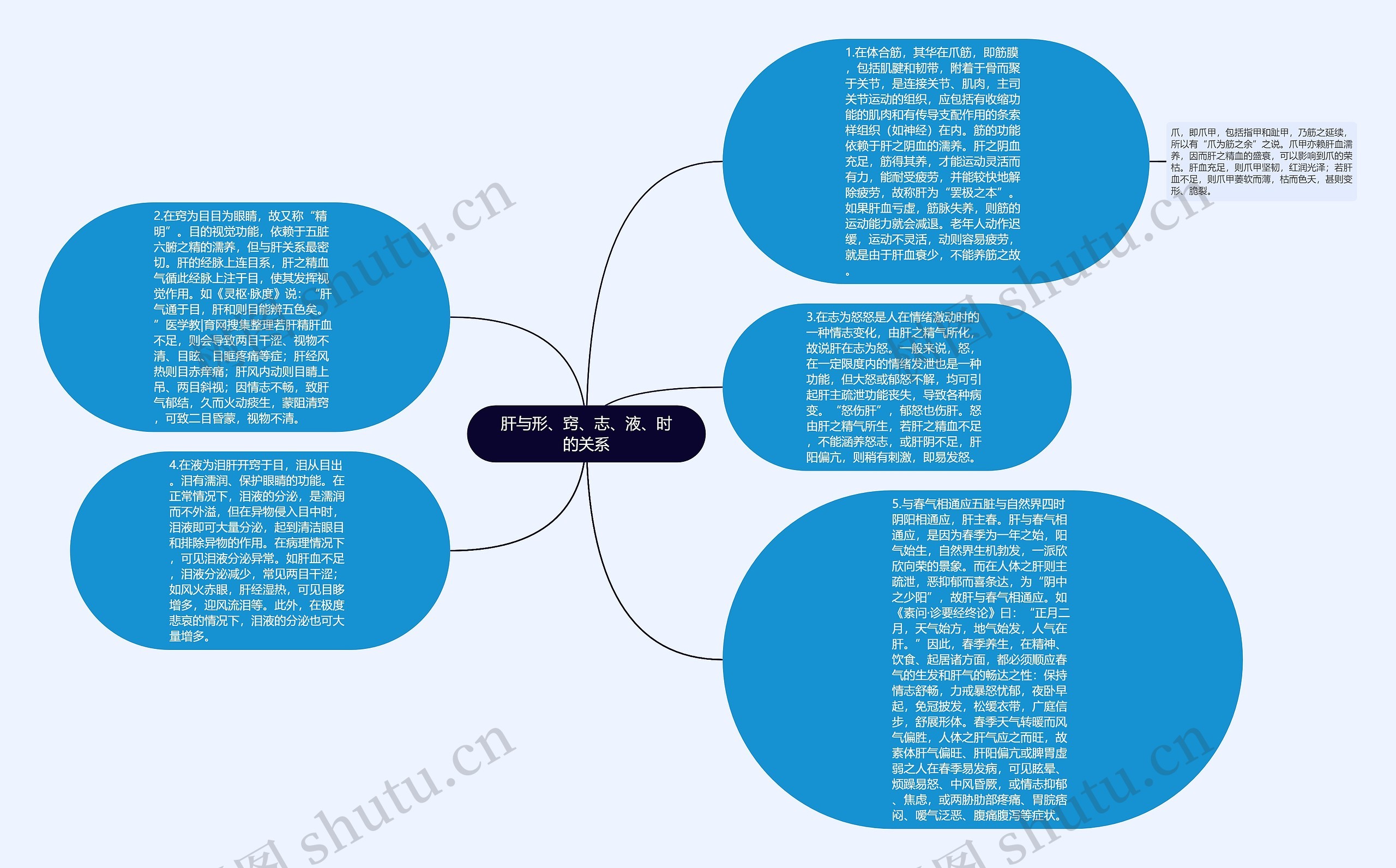 肝与形、窍、志、液、时的关系思维导图