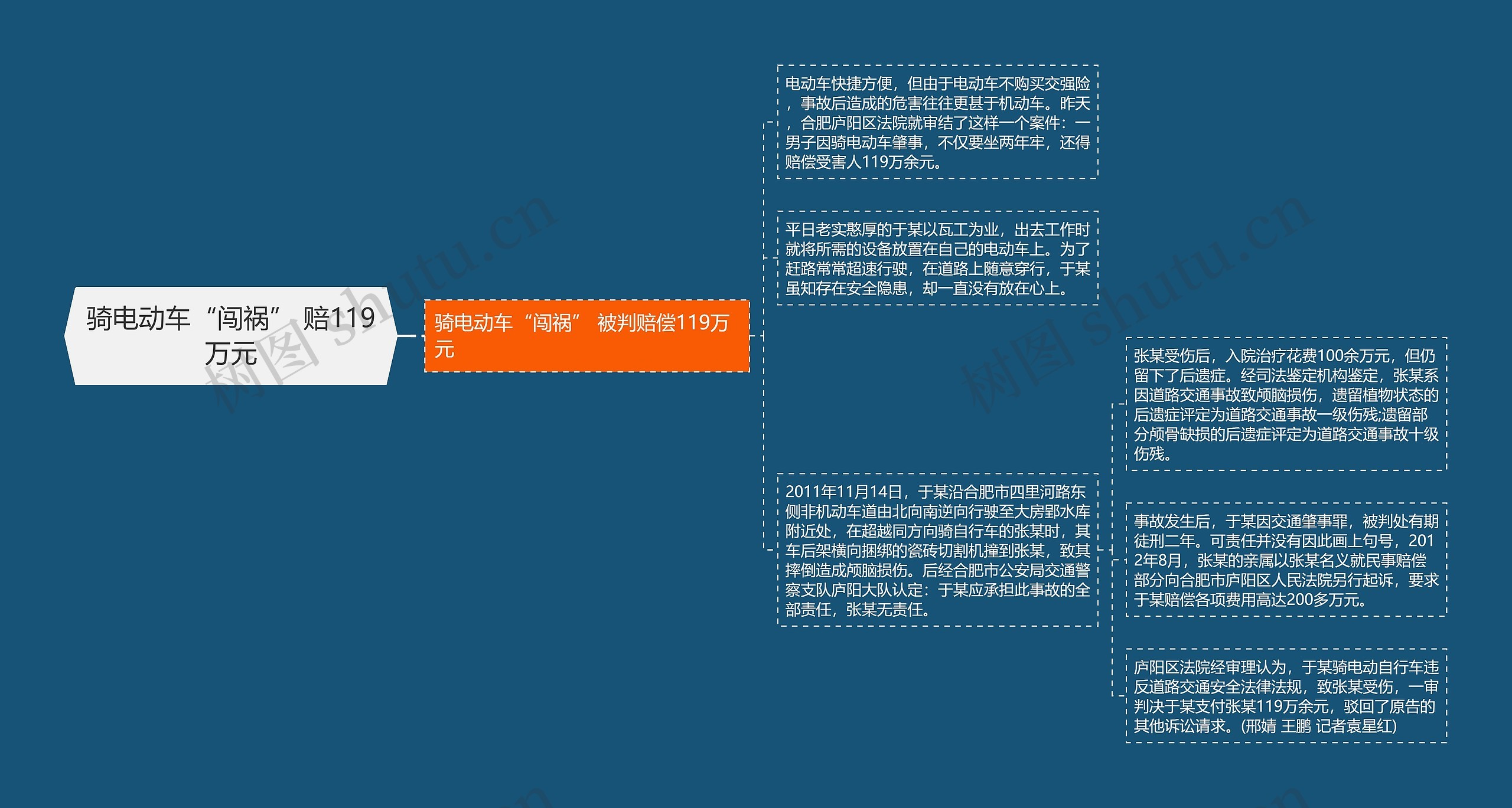 骑电动车“闯祸” 赔119万元思维导图