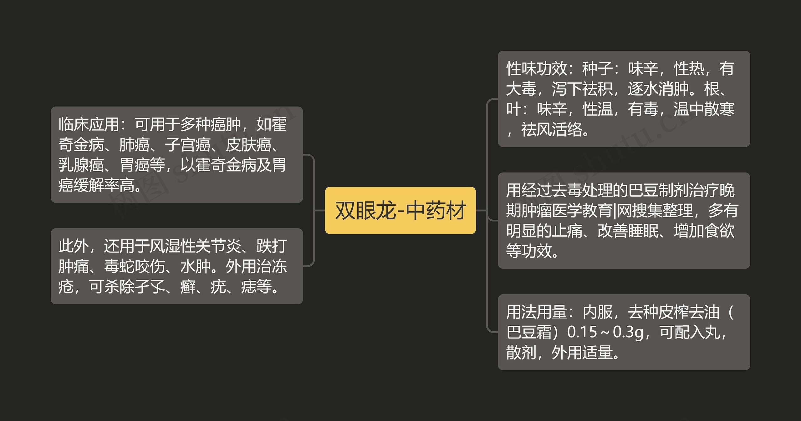 双眼龙-中药材