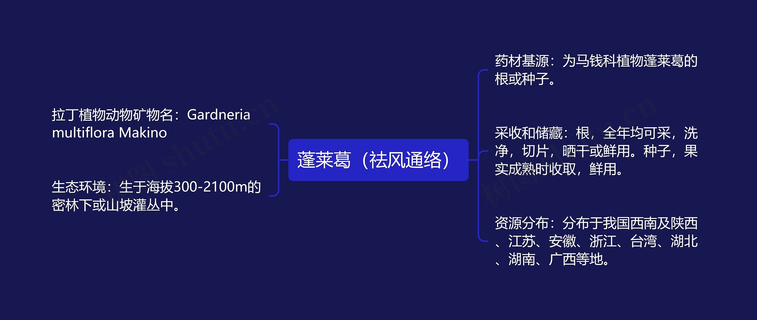 蓬莱葛（祛风通络）思维导图