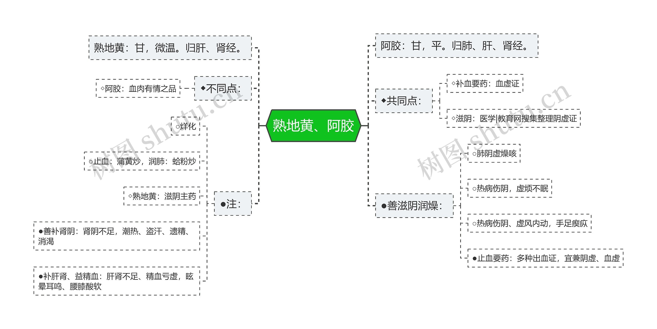 熟地黄、阿胶思维导图