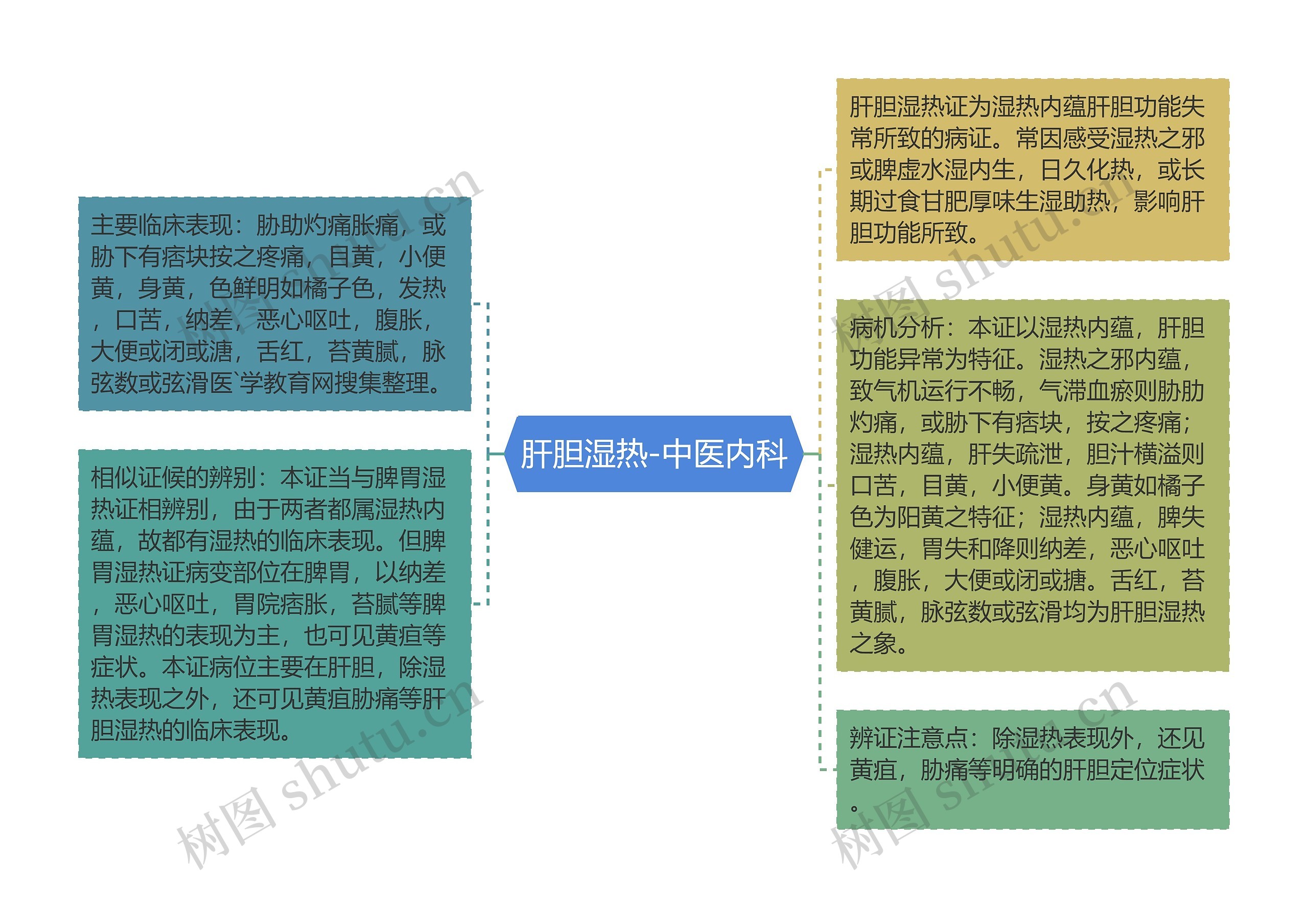 肝胆湿热-中医内科思维导图