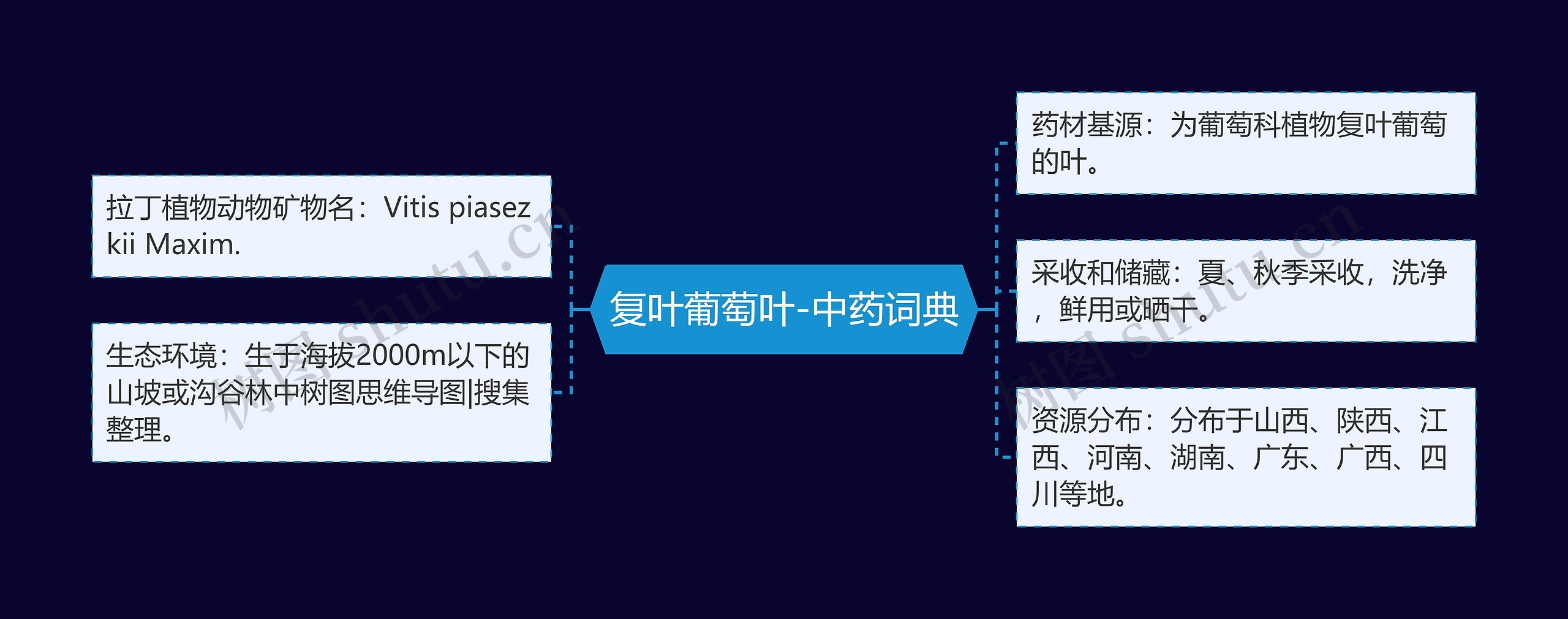 复叶葡萄叶-中药词典思维导图