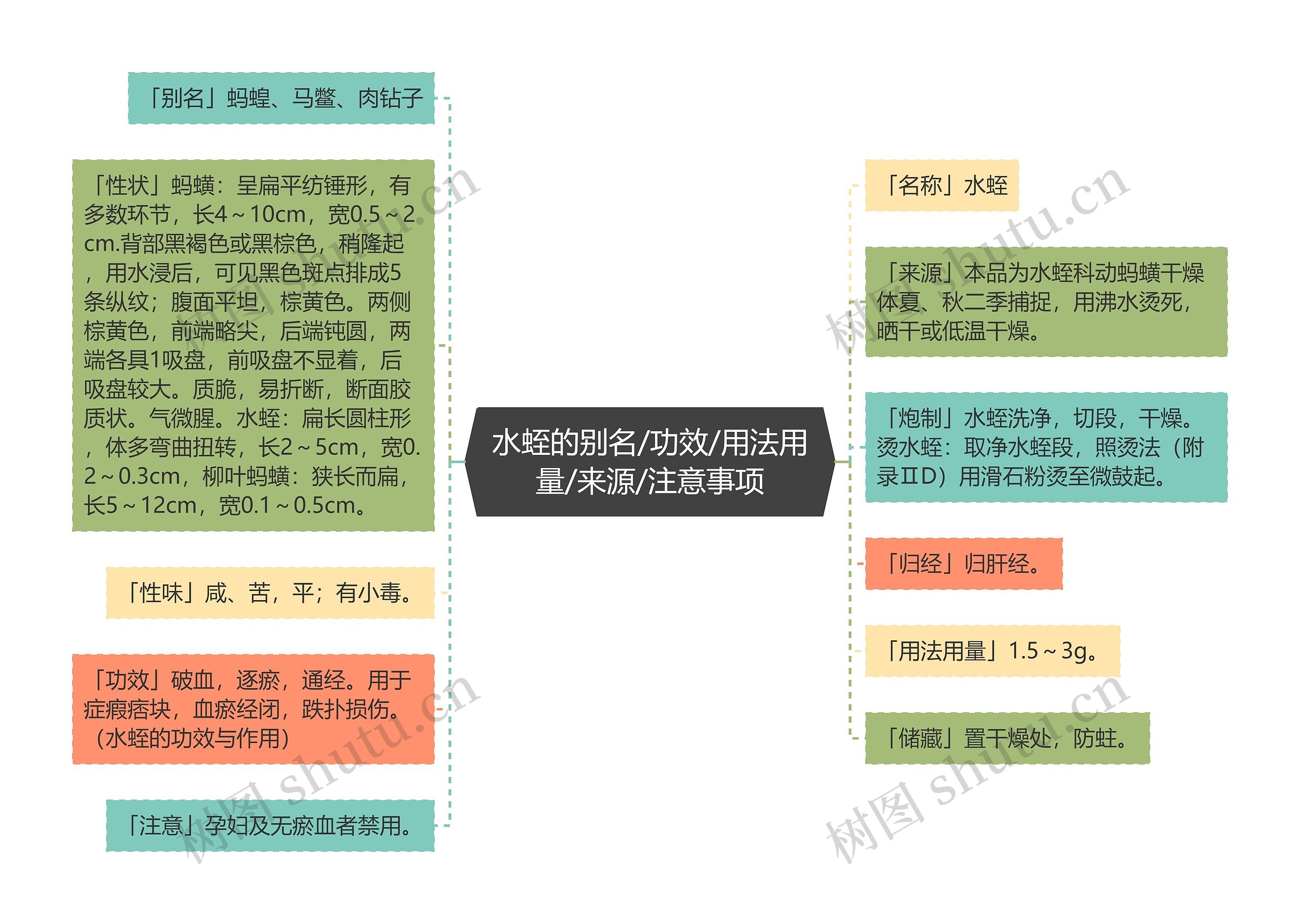 水蛭的别名/功效/用法用量/来源/注意事项