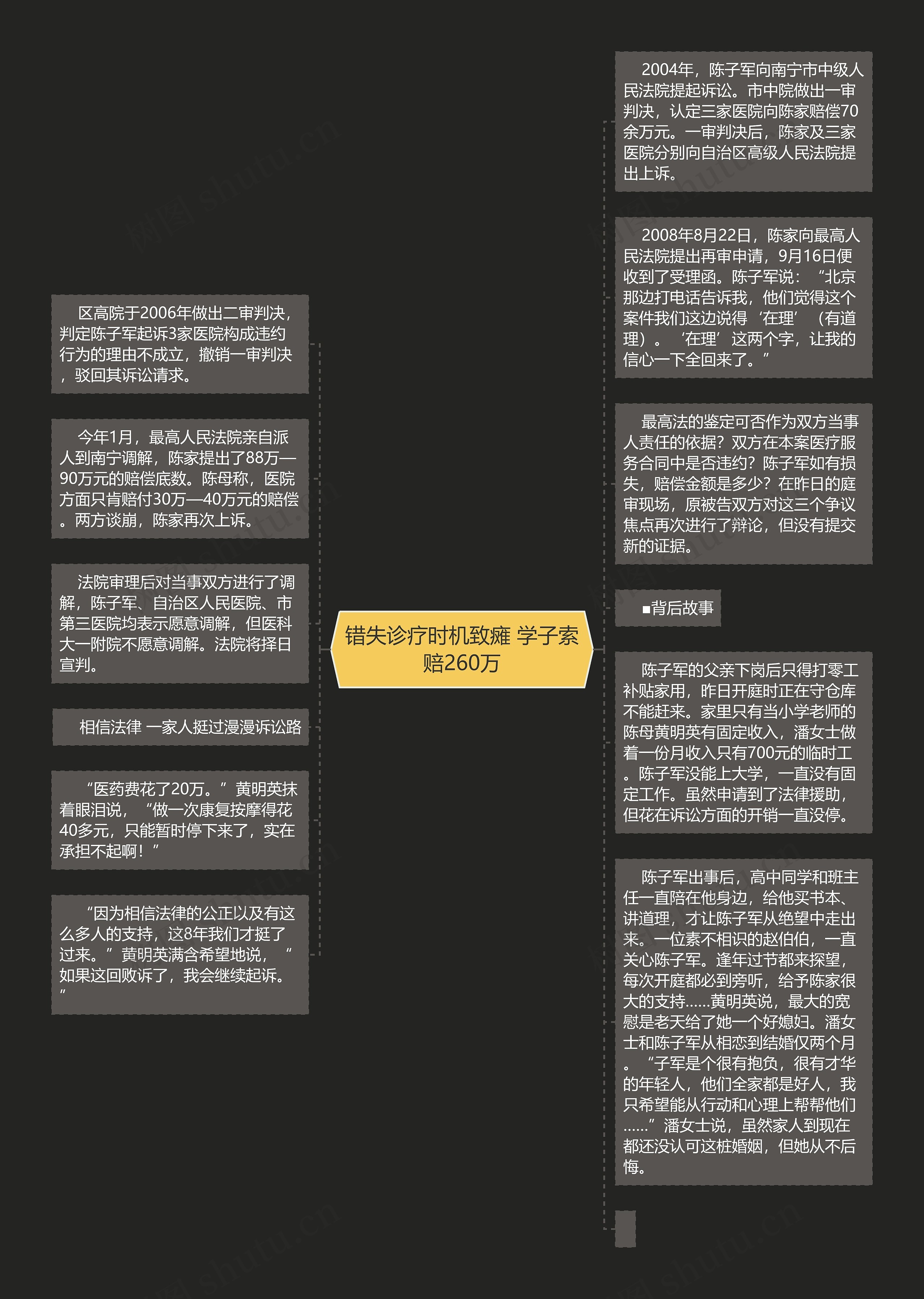 错失诊疗时机致瘫 学子索赔260万思维导图