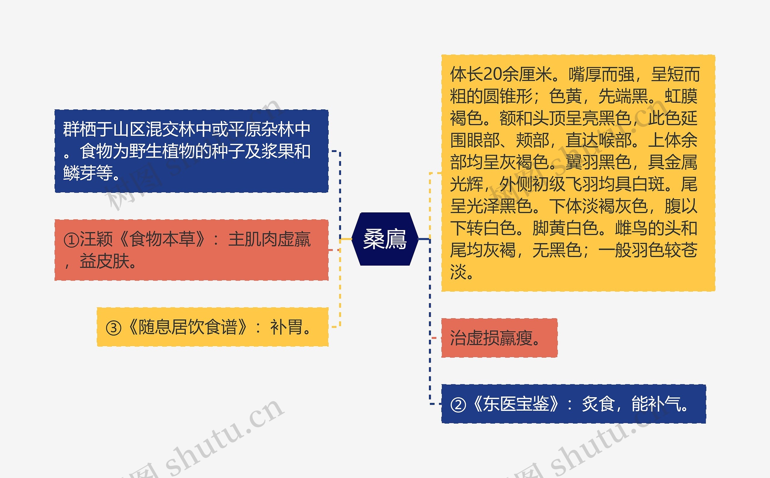 桑鳸思维导图