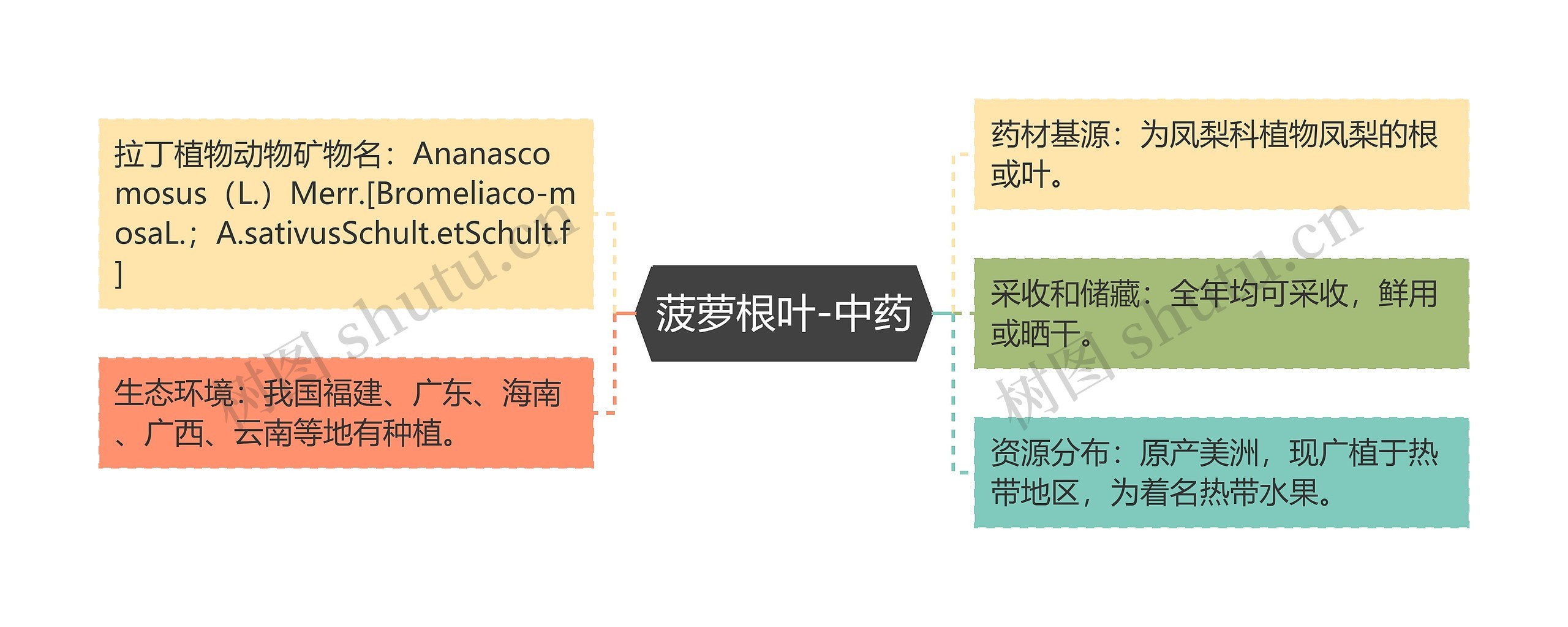 菠萝根叶-中药思维导图