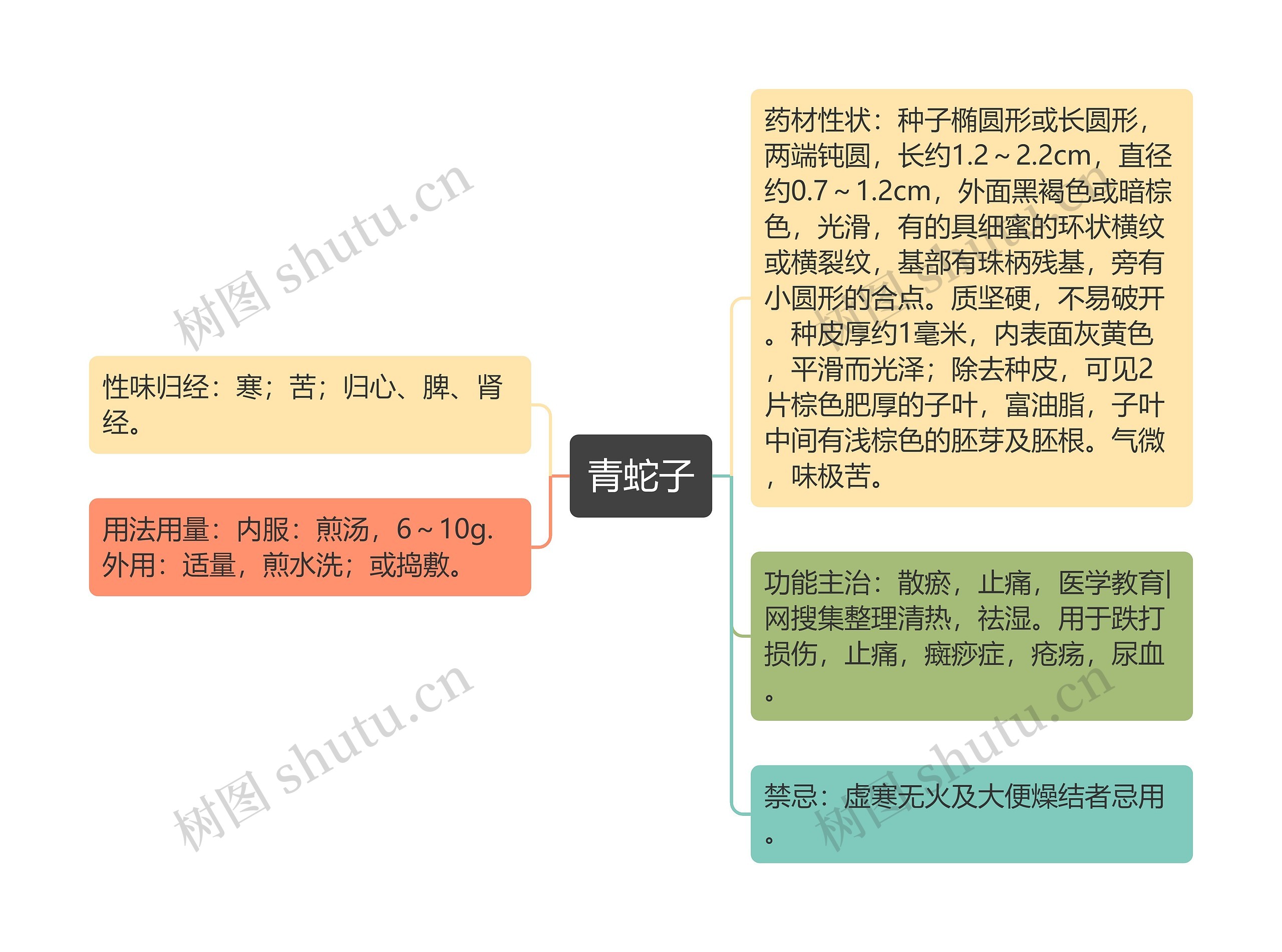 青蛇子思维导图