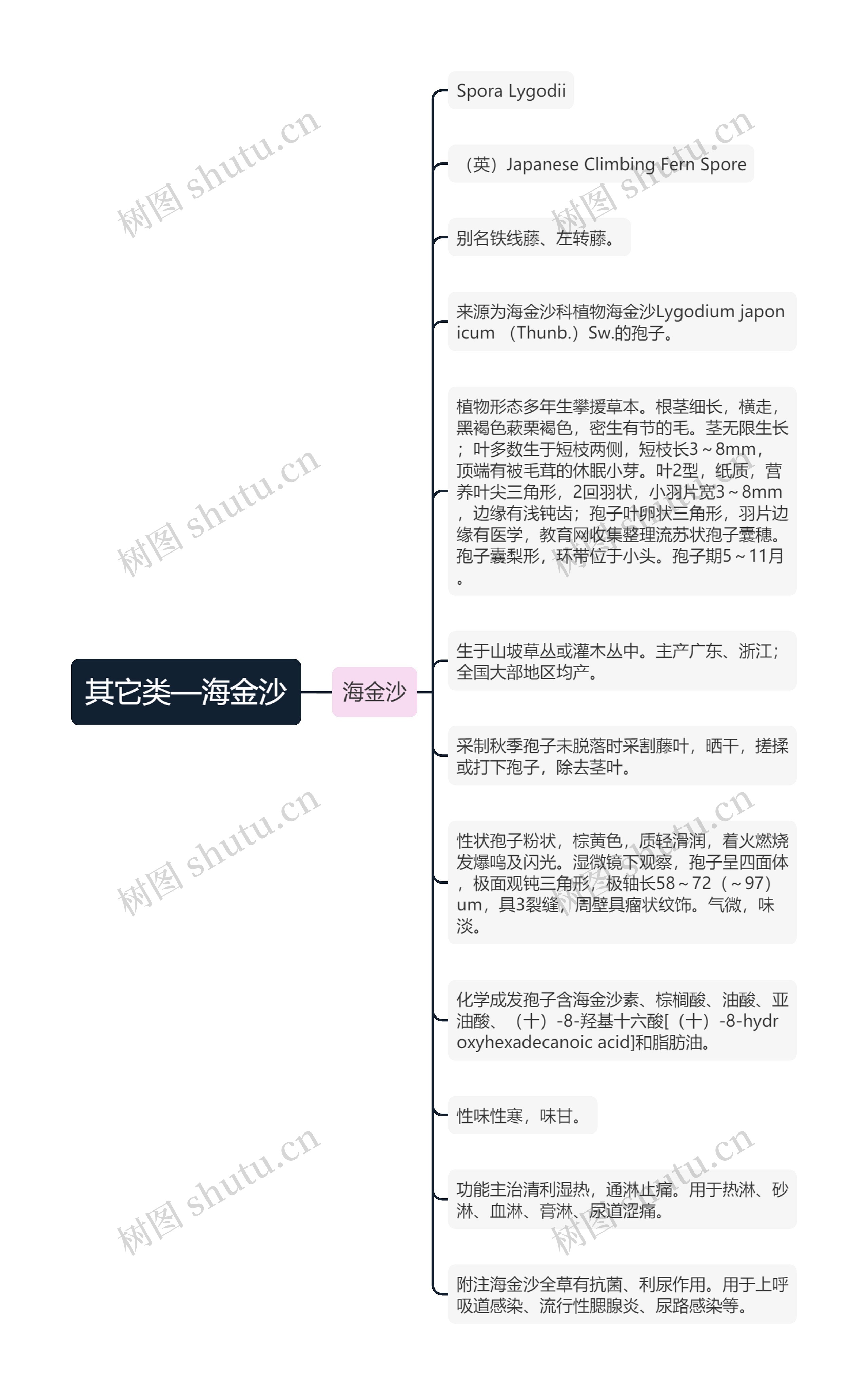 其它类—海金沙 其它类—海金沙
