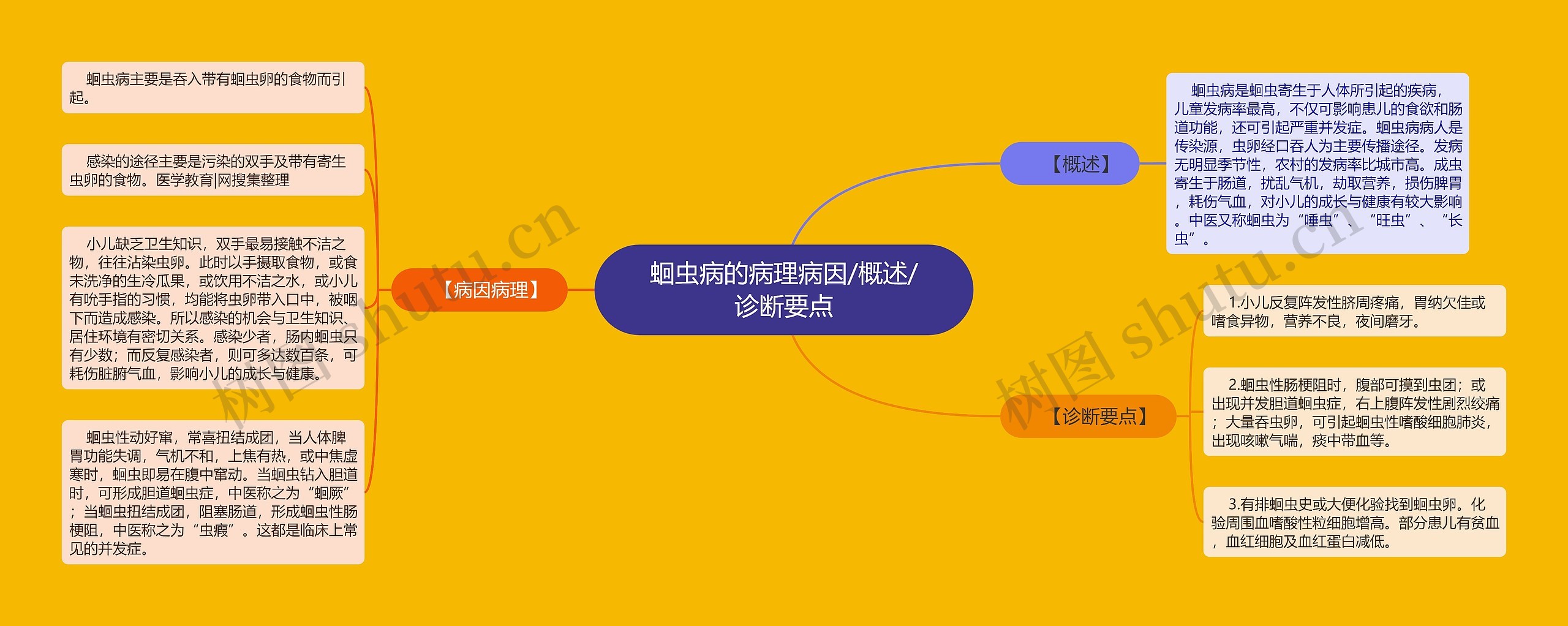 蛔虫病的病理病因/概述/诊断要点思维导图