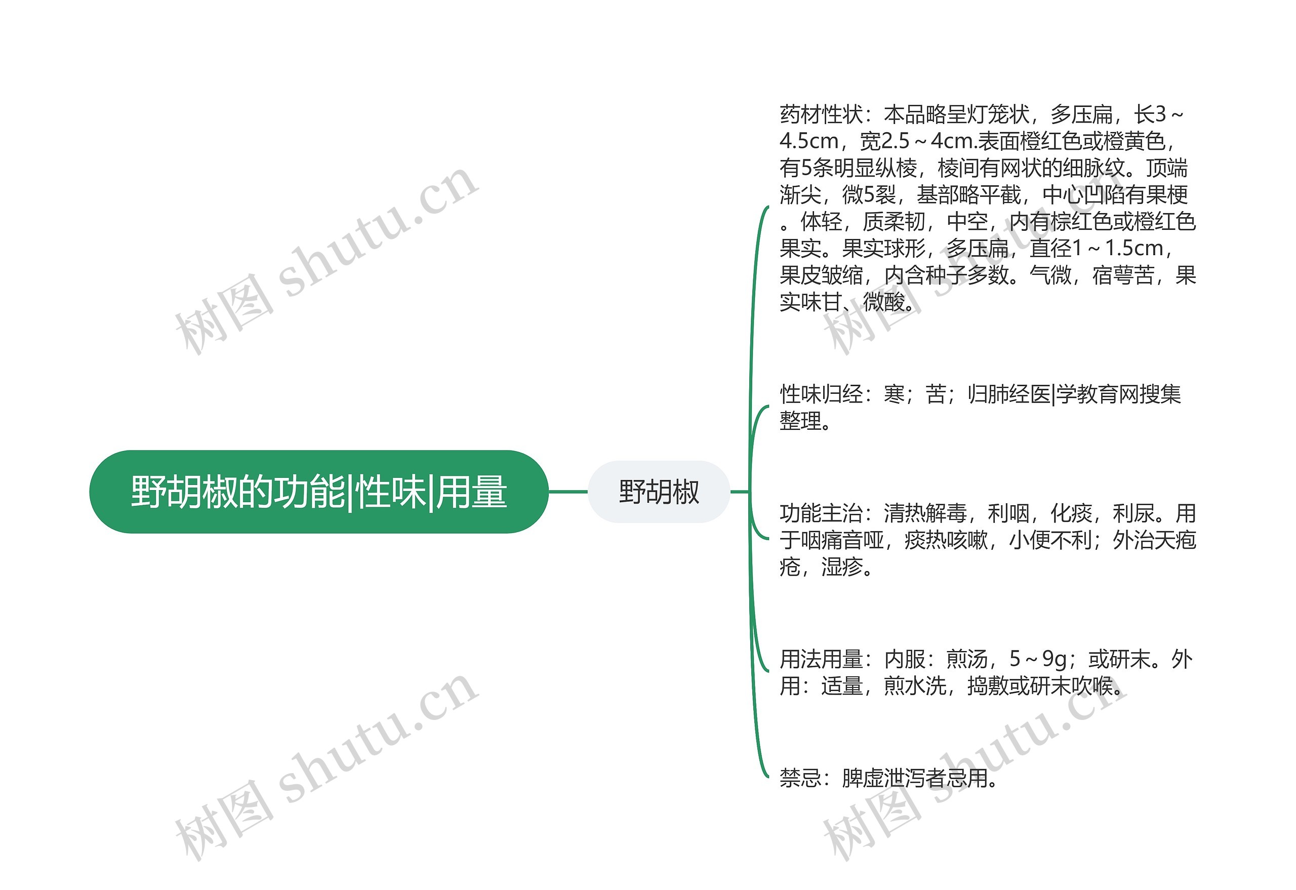 野胡椒的功能|性味|用量思维导图