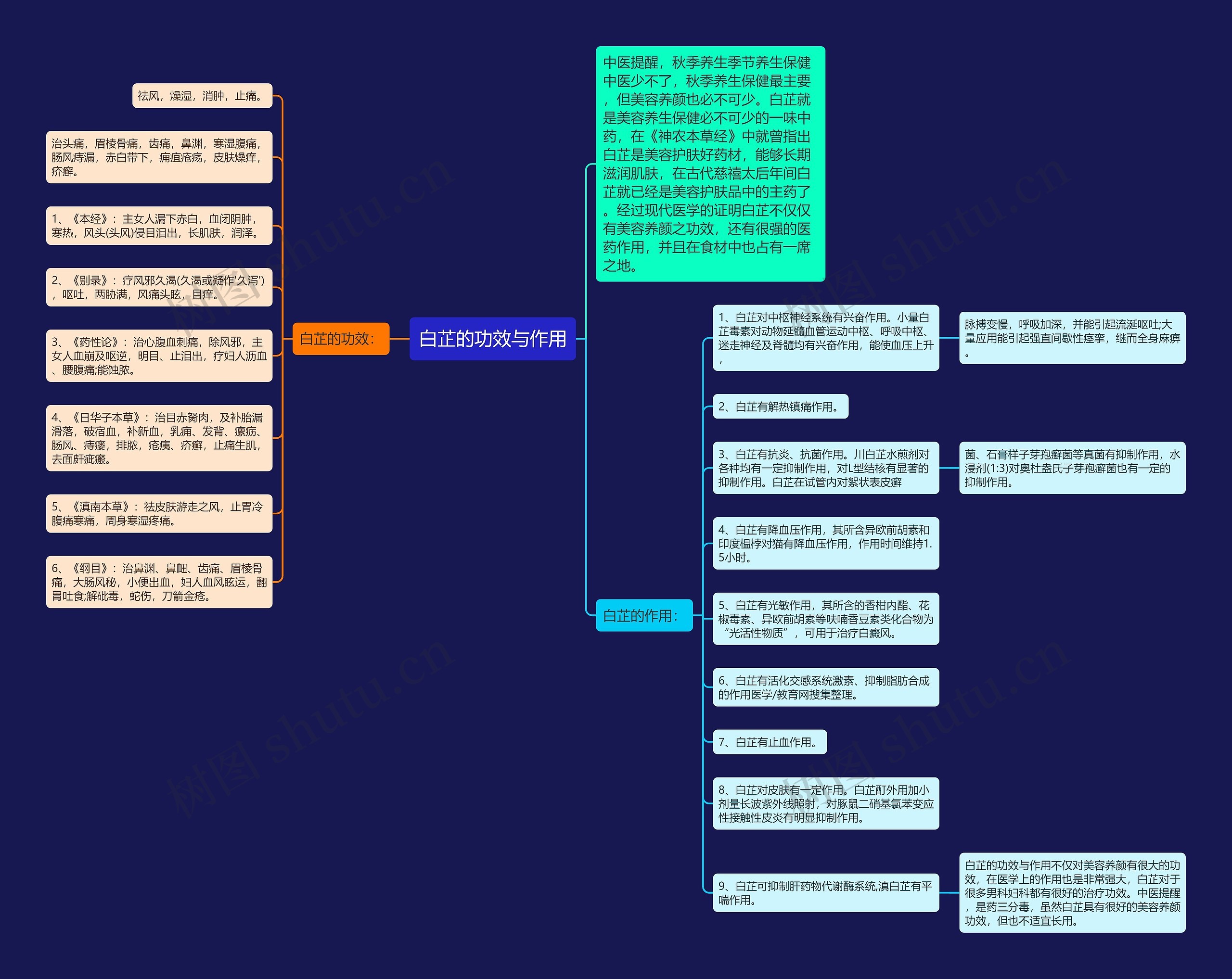 白芷的功效与作用思维导图