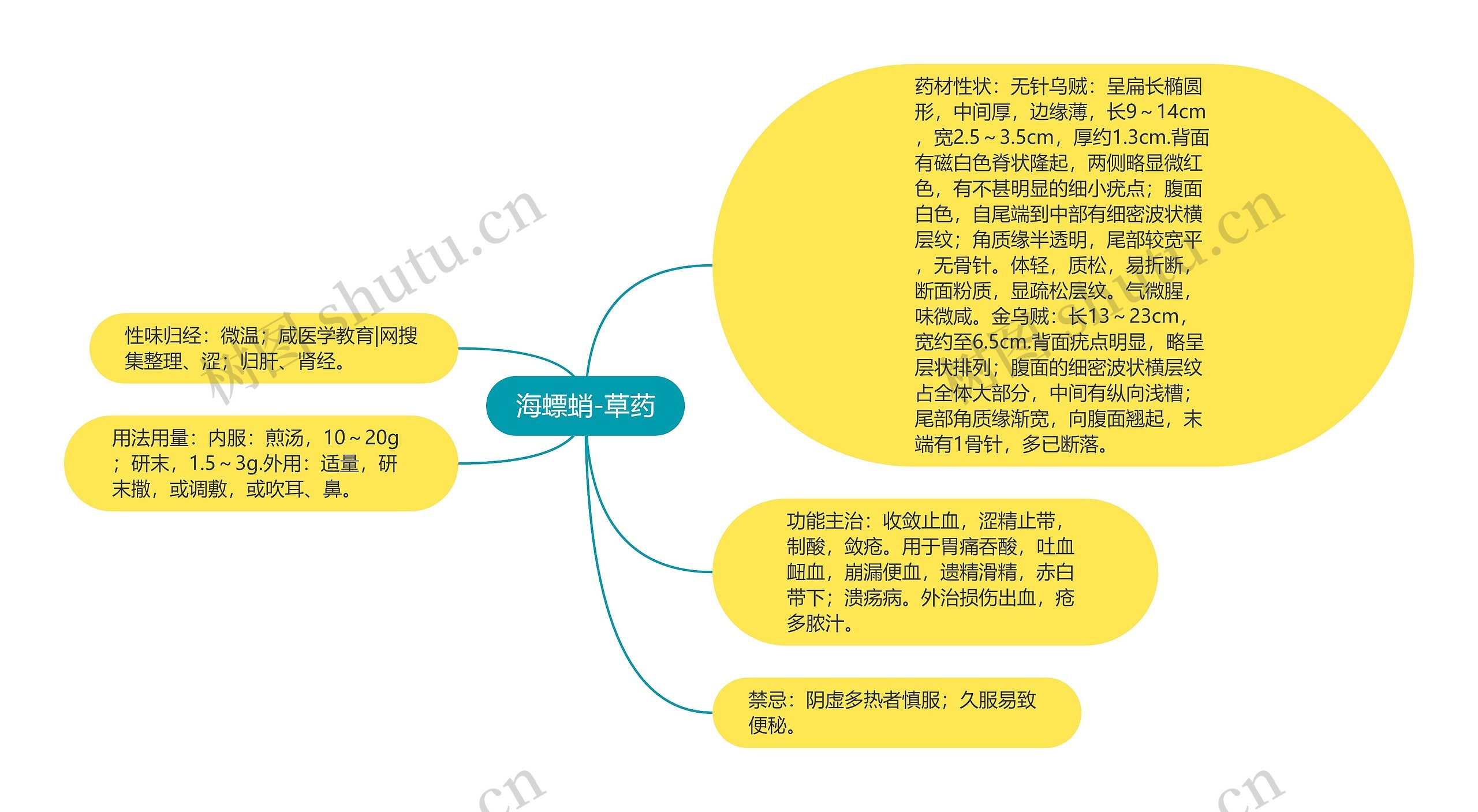 海螵蛸-草药 海螵蛸-草药