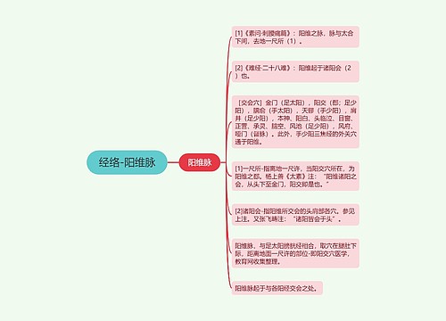 经络-阳维脉