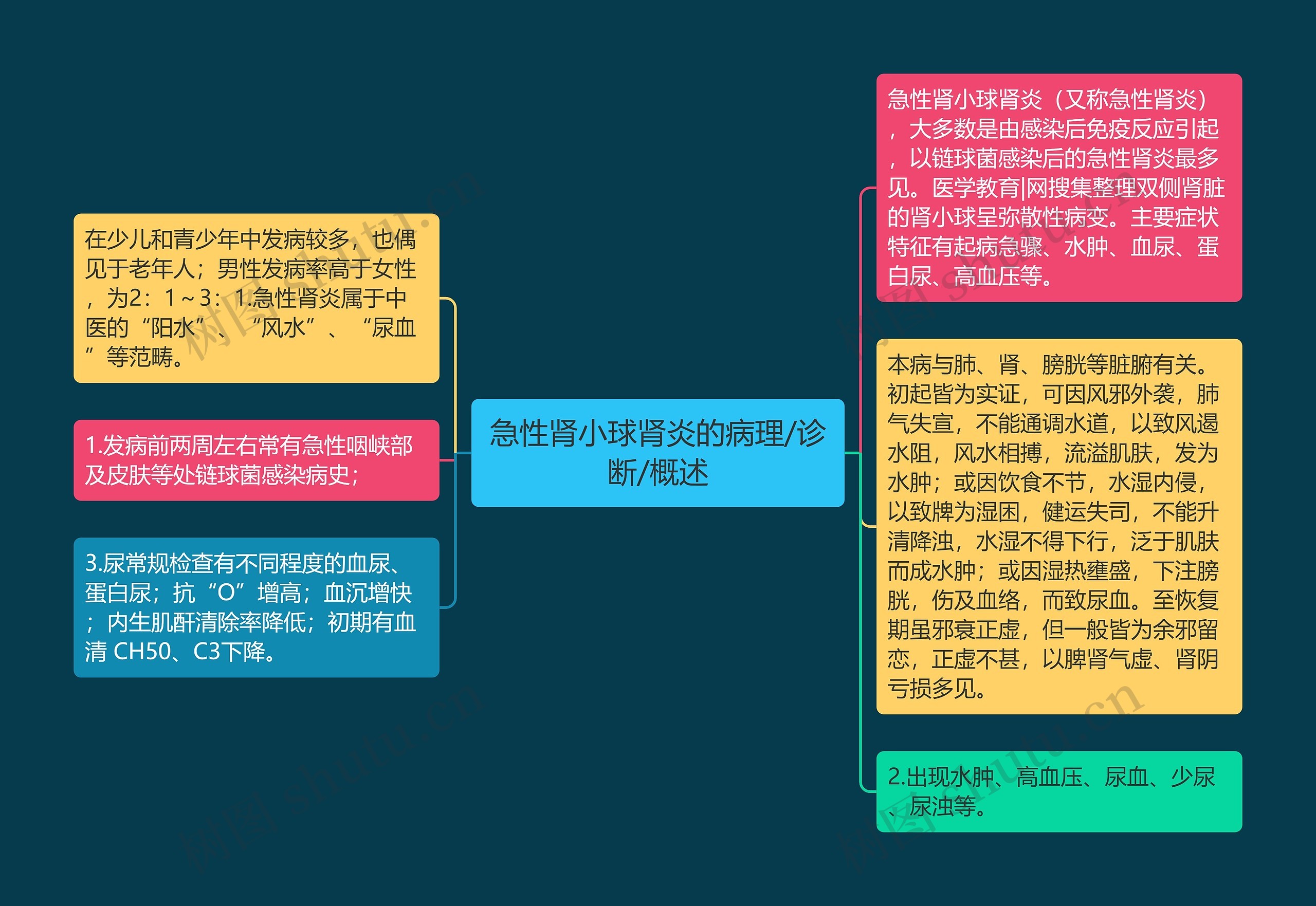 急性肾小球肾炎的病理/诊断/概述