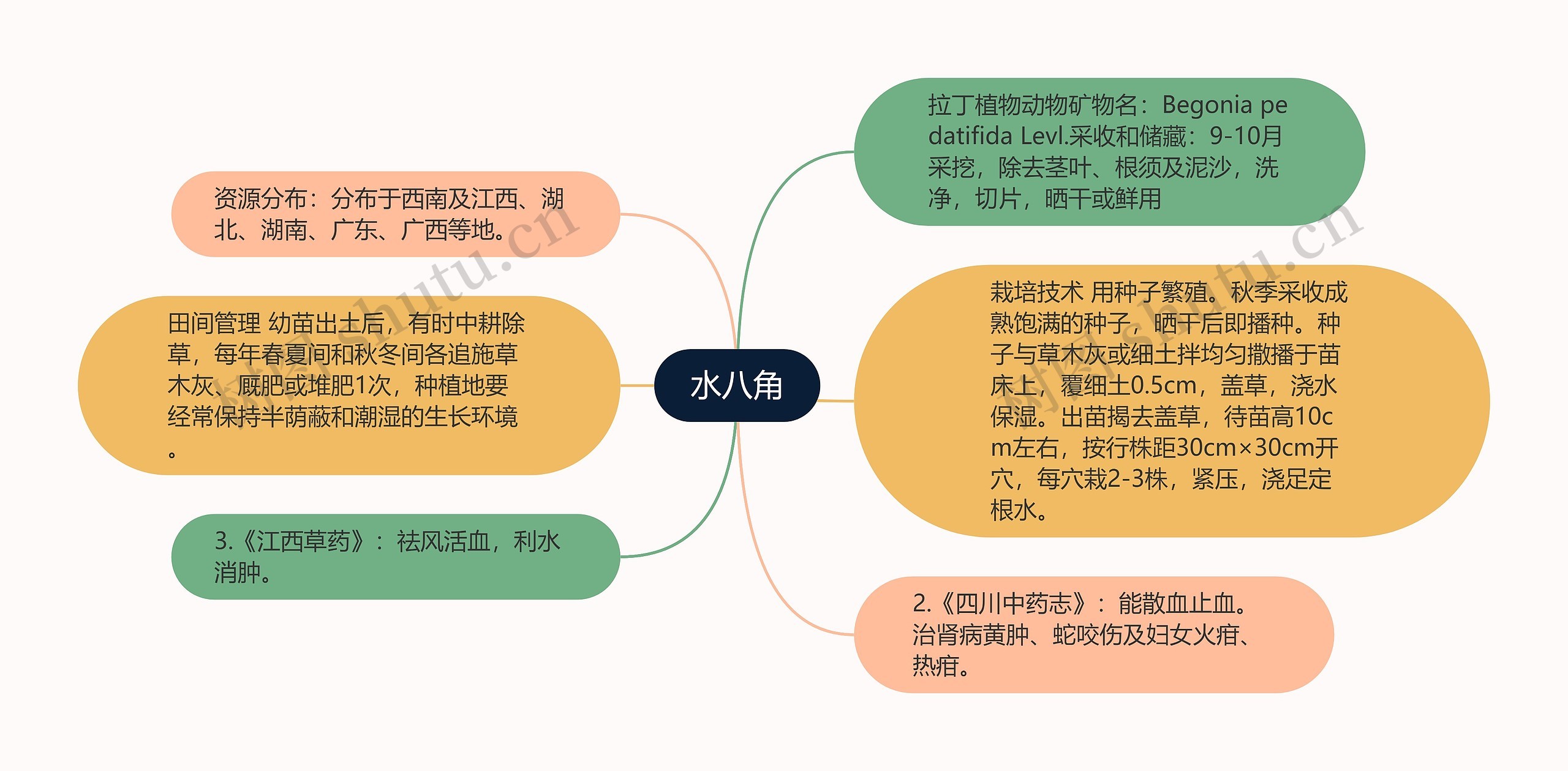 水八角思维导图