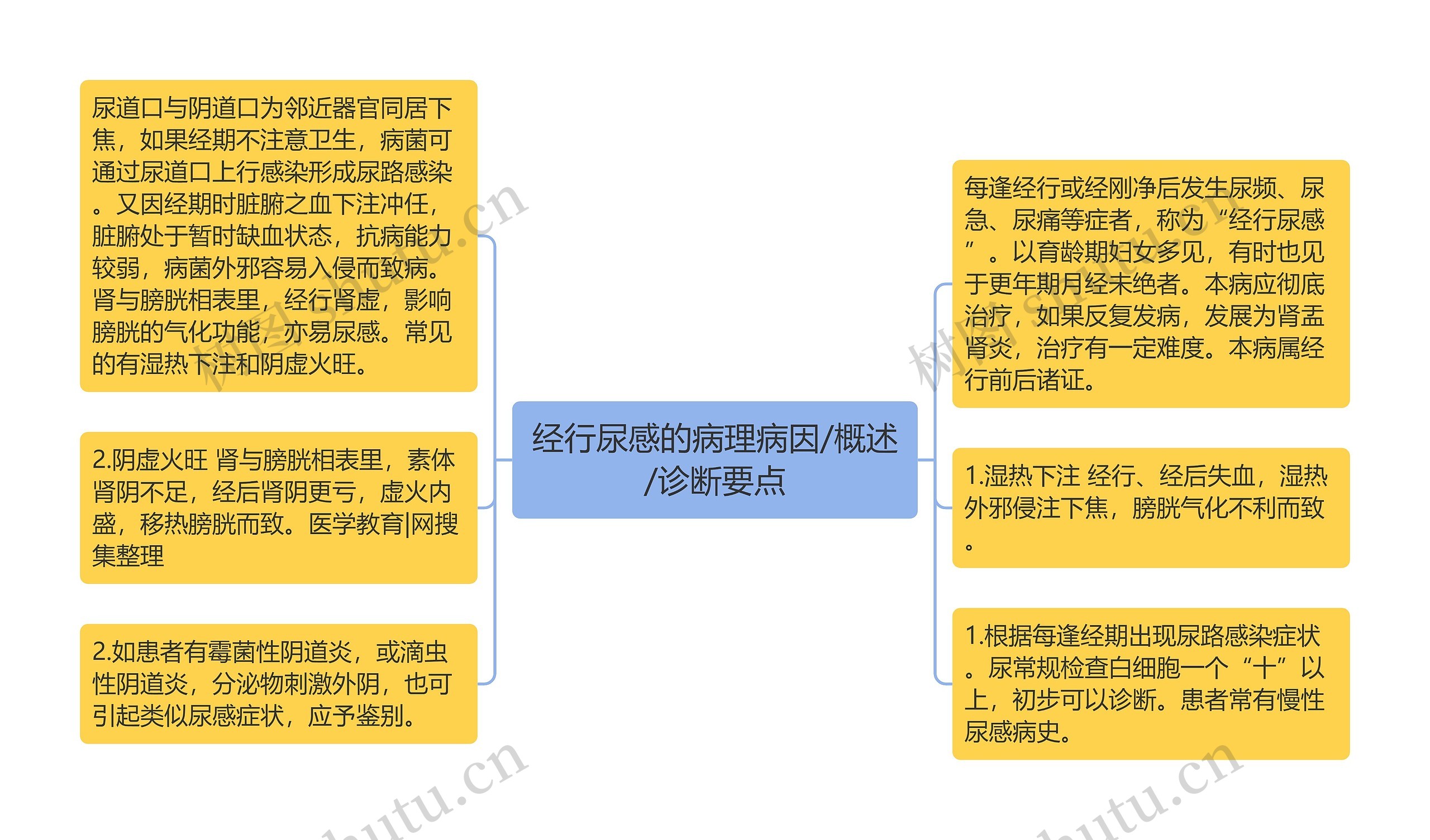 经行尿感的病理病因/概述/诊断要点思维导图