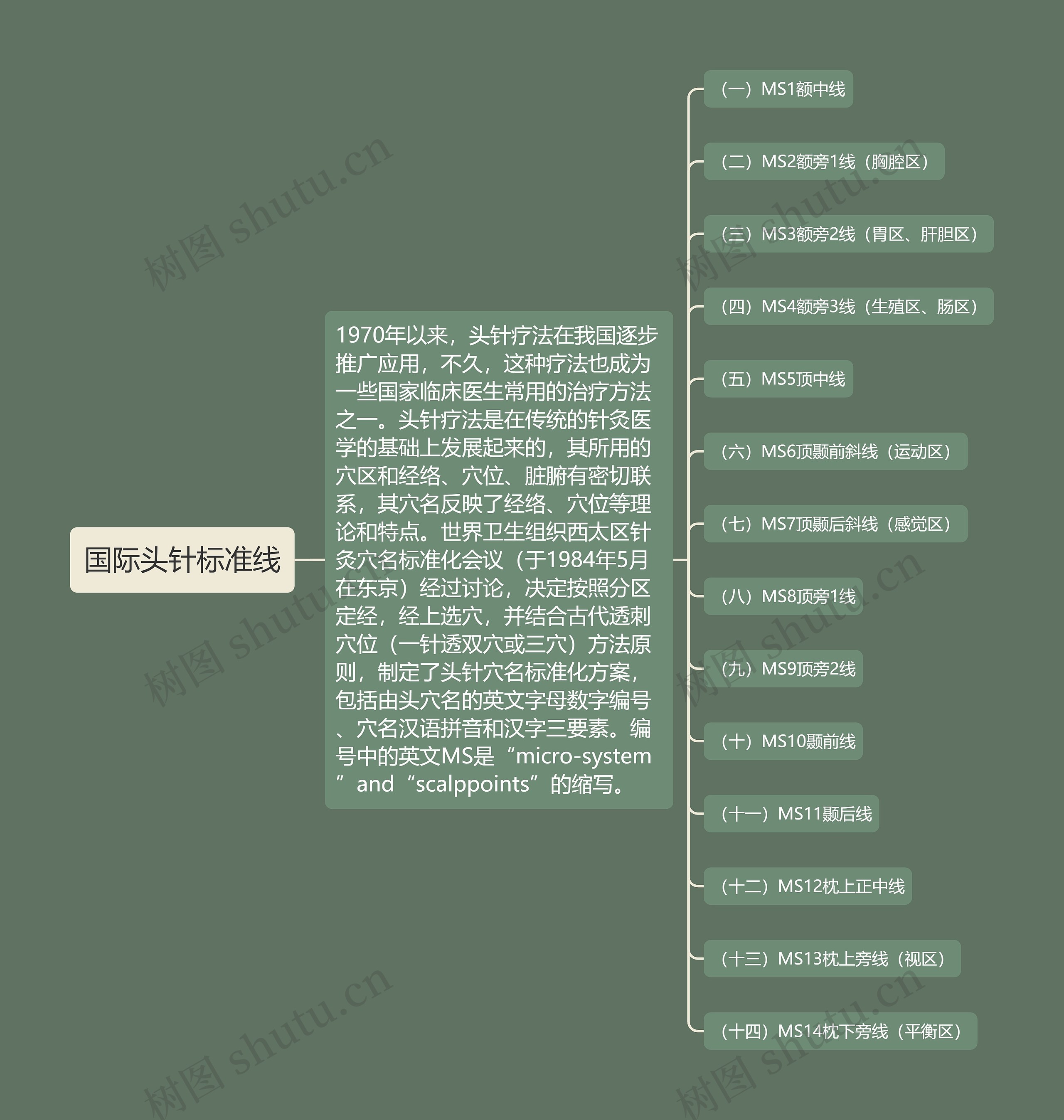 国际头针标准线