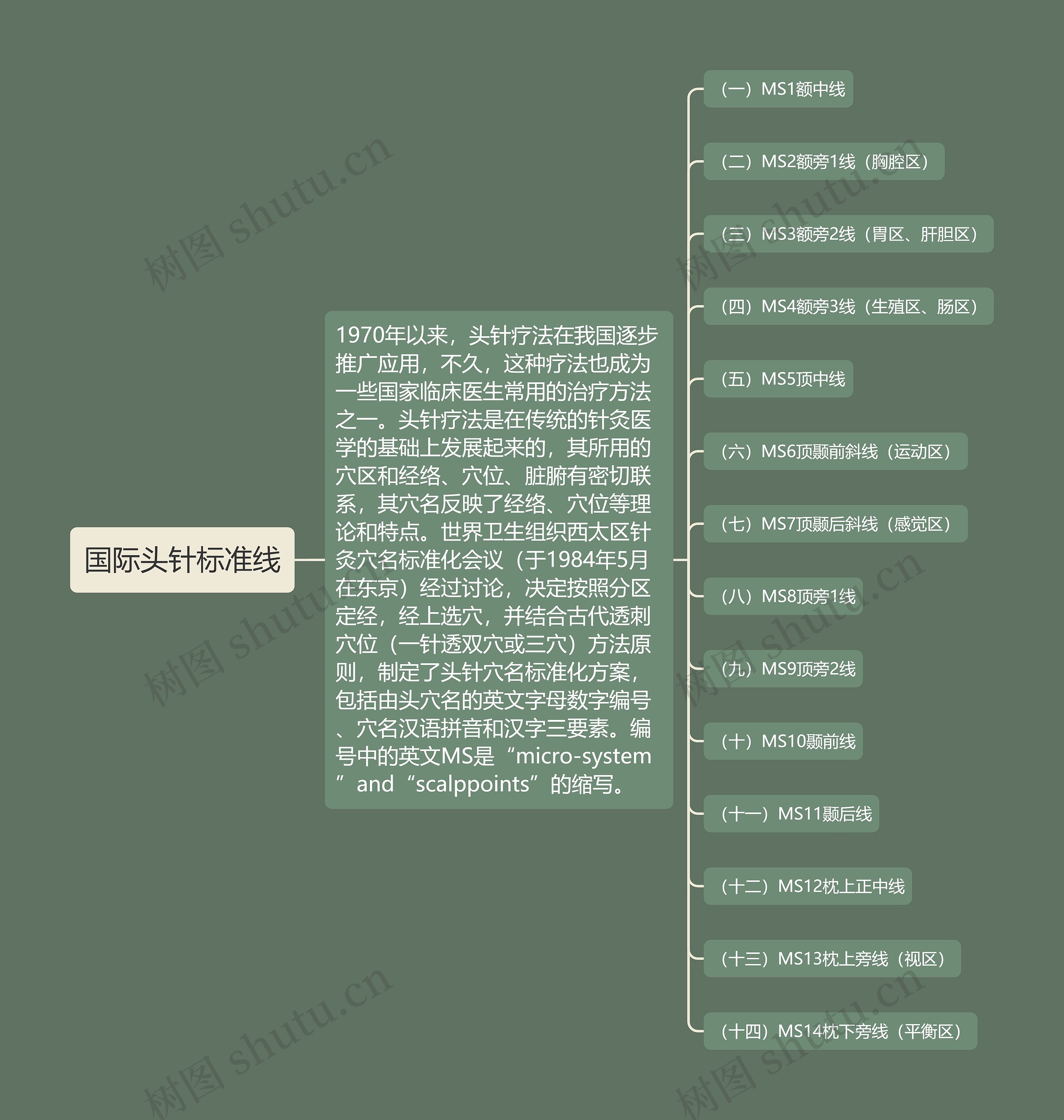 国际头针标准线思维导图