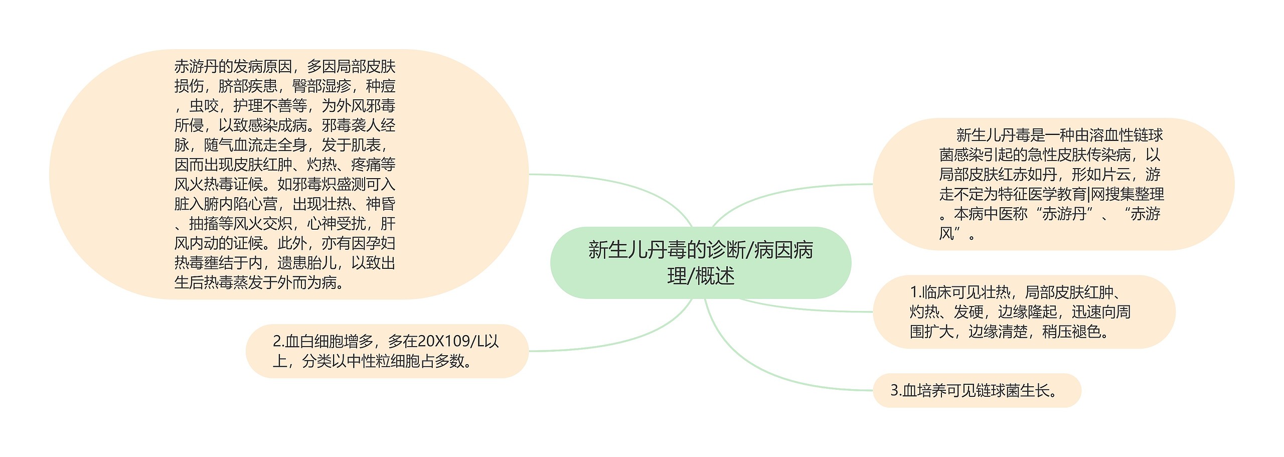 新生儿丹毒的诊断/病因病理/概述思维导图