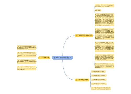 国家知识产权保护是怎样