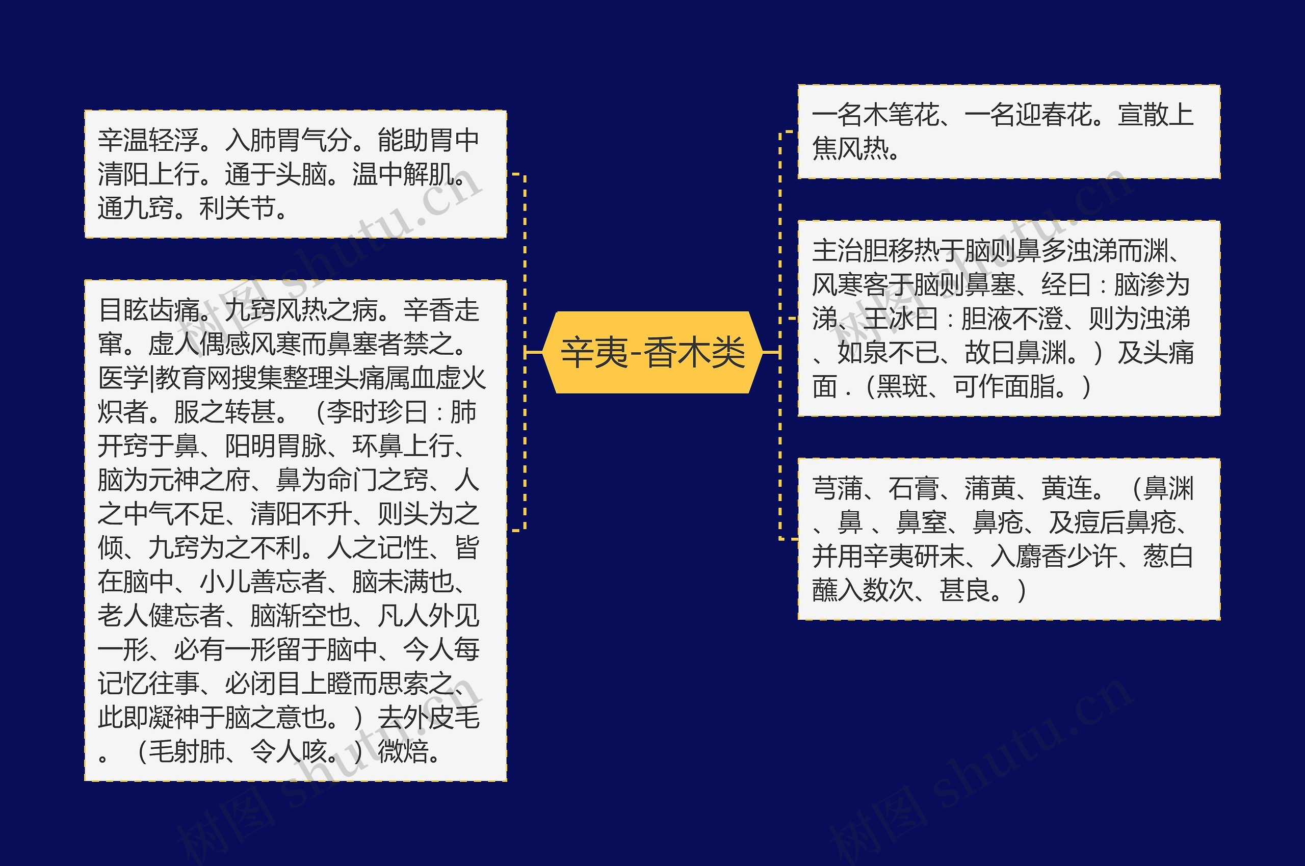 辛夷-香木类思维导图