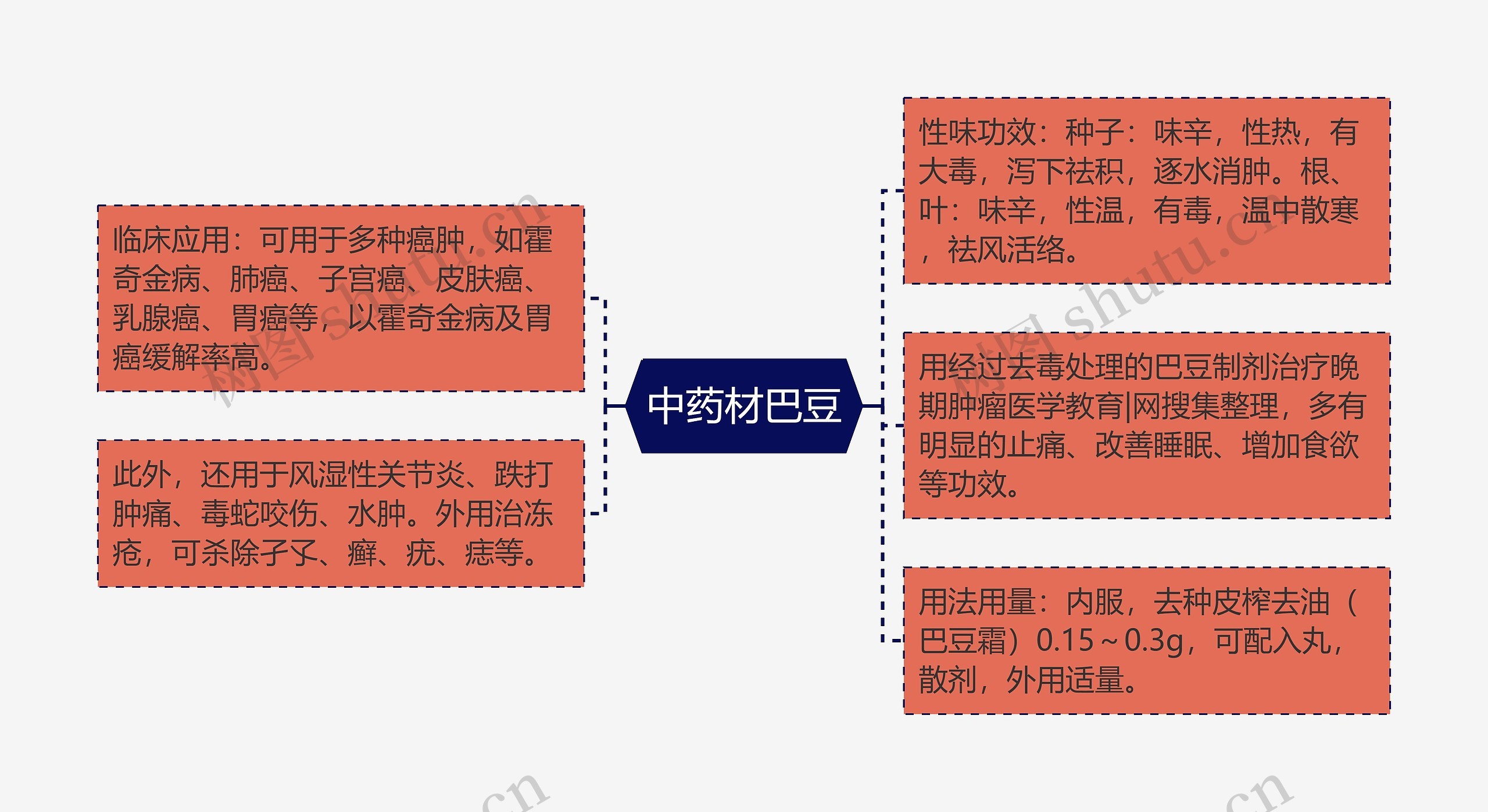 中药材巴豆思维导图