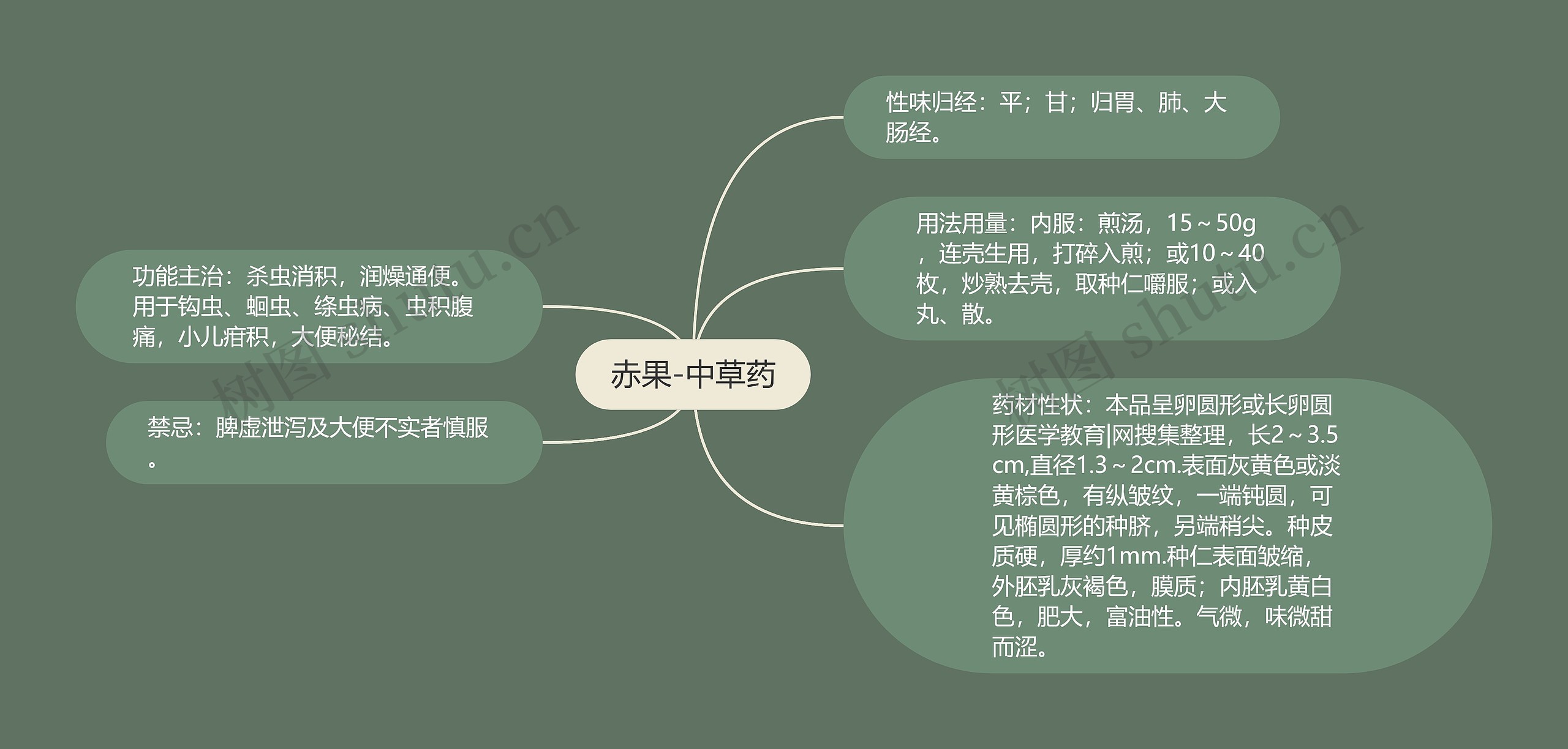 赤果-中草药 赤果-中草药