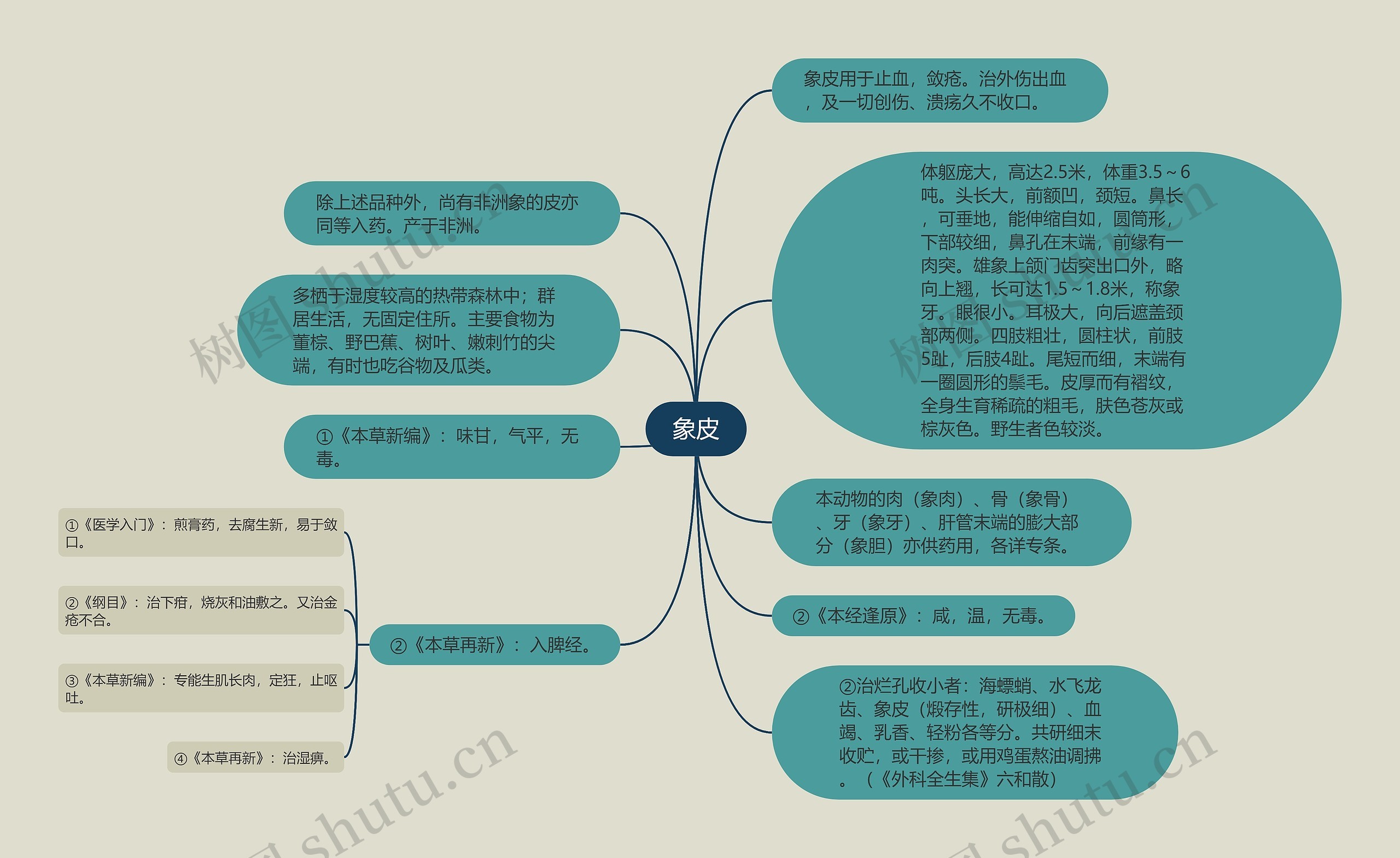 象皮思维导图