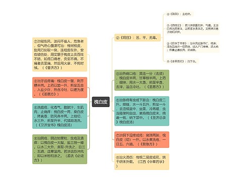 槐白皮