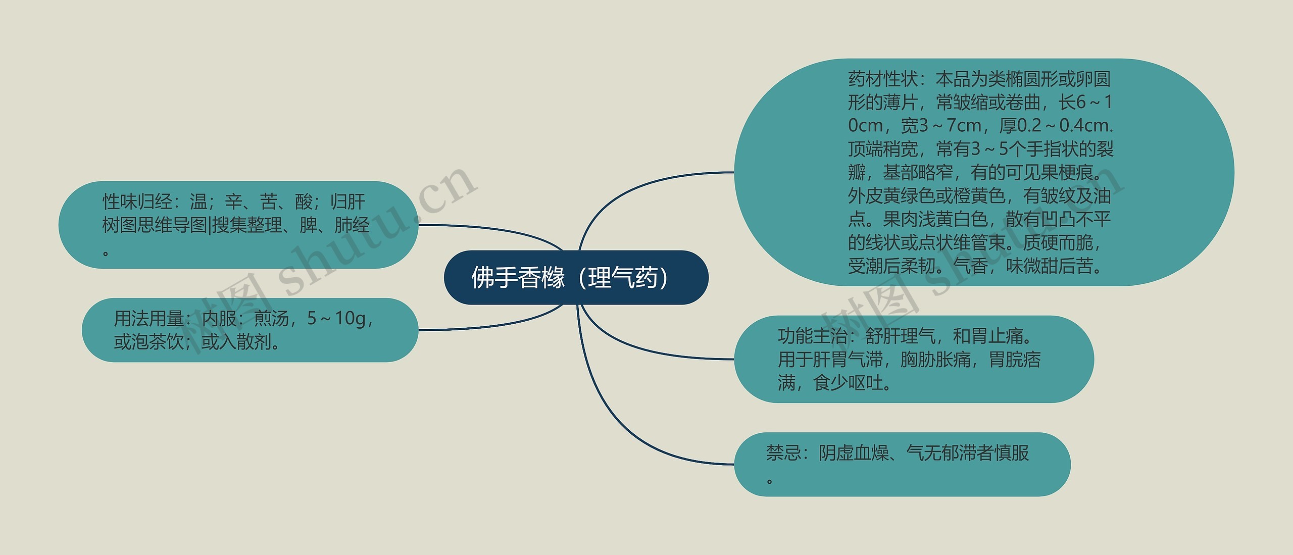 佛手香橼（理气药）思维导图