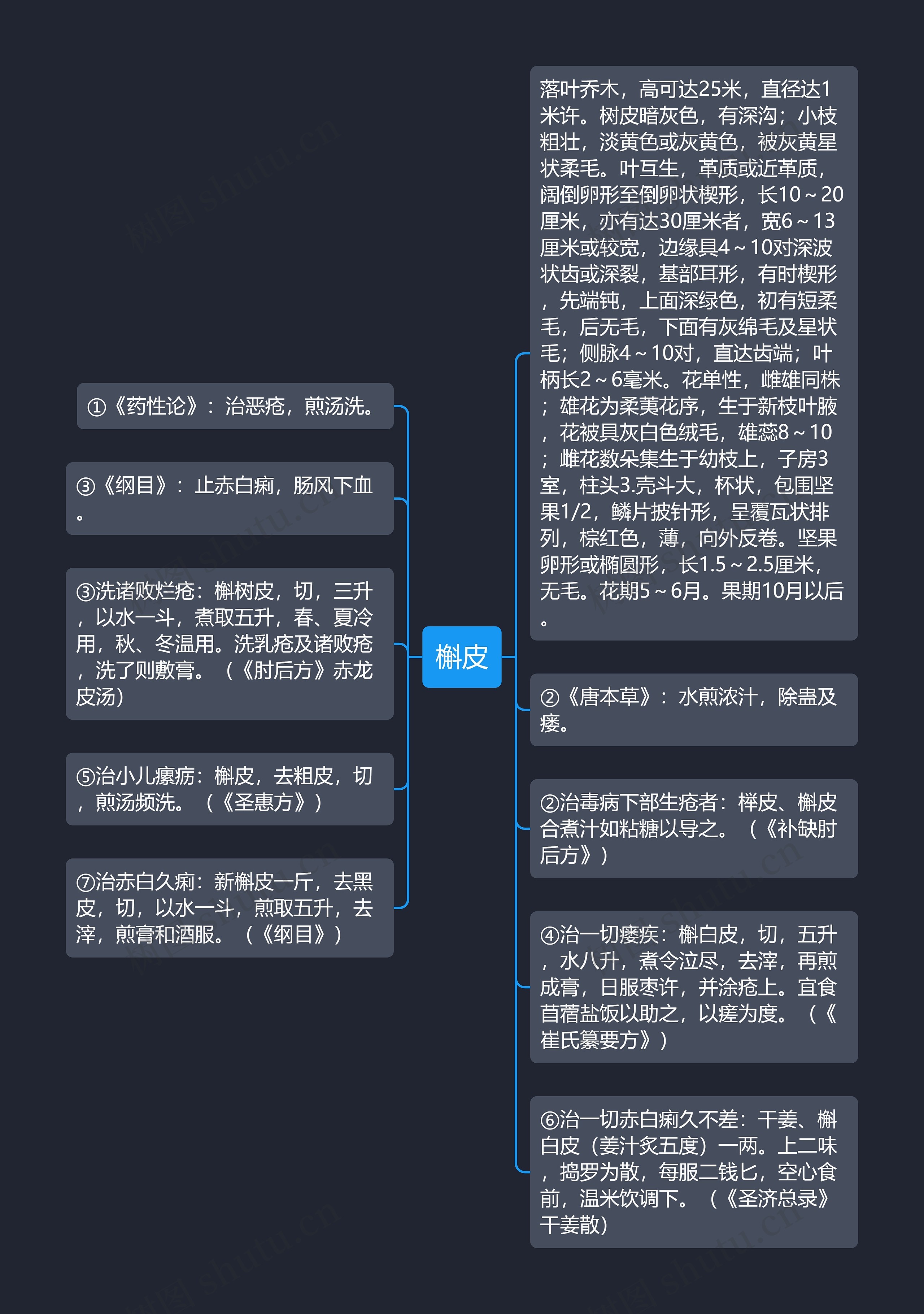 槲皮思维导图