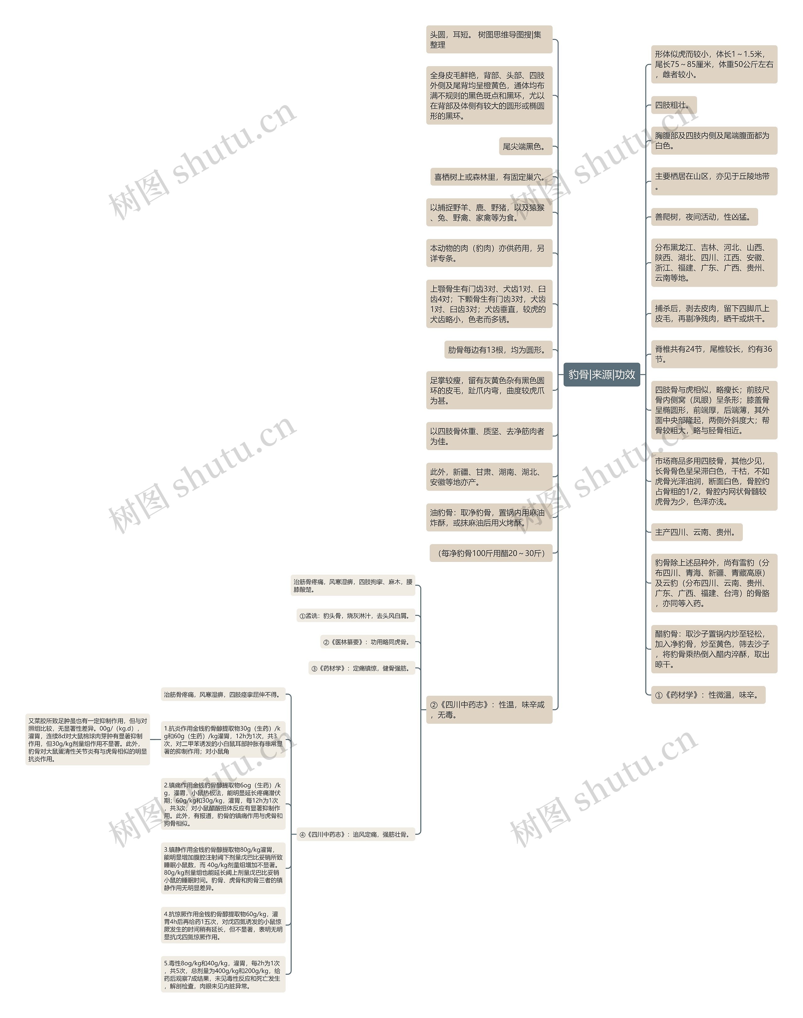 豹骨|来源|功效思维导图