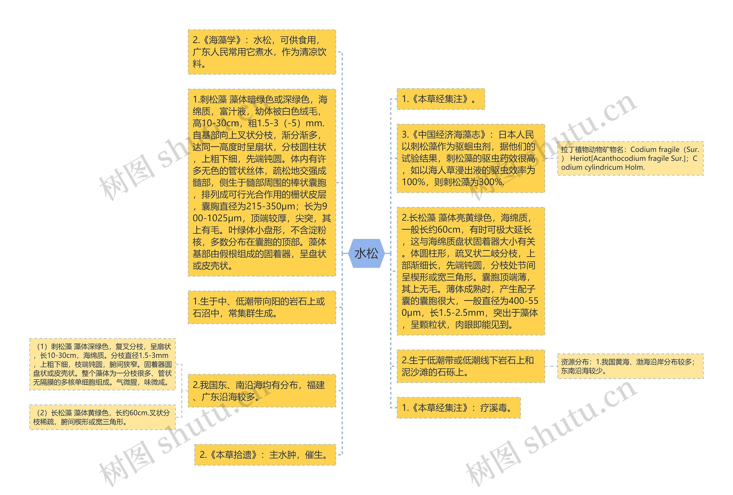 水松思维导图