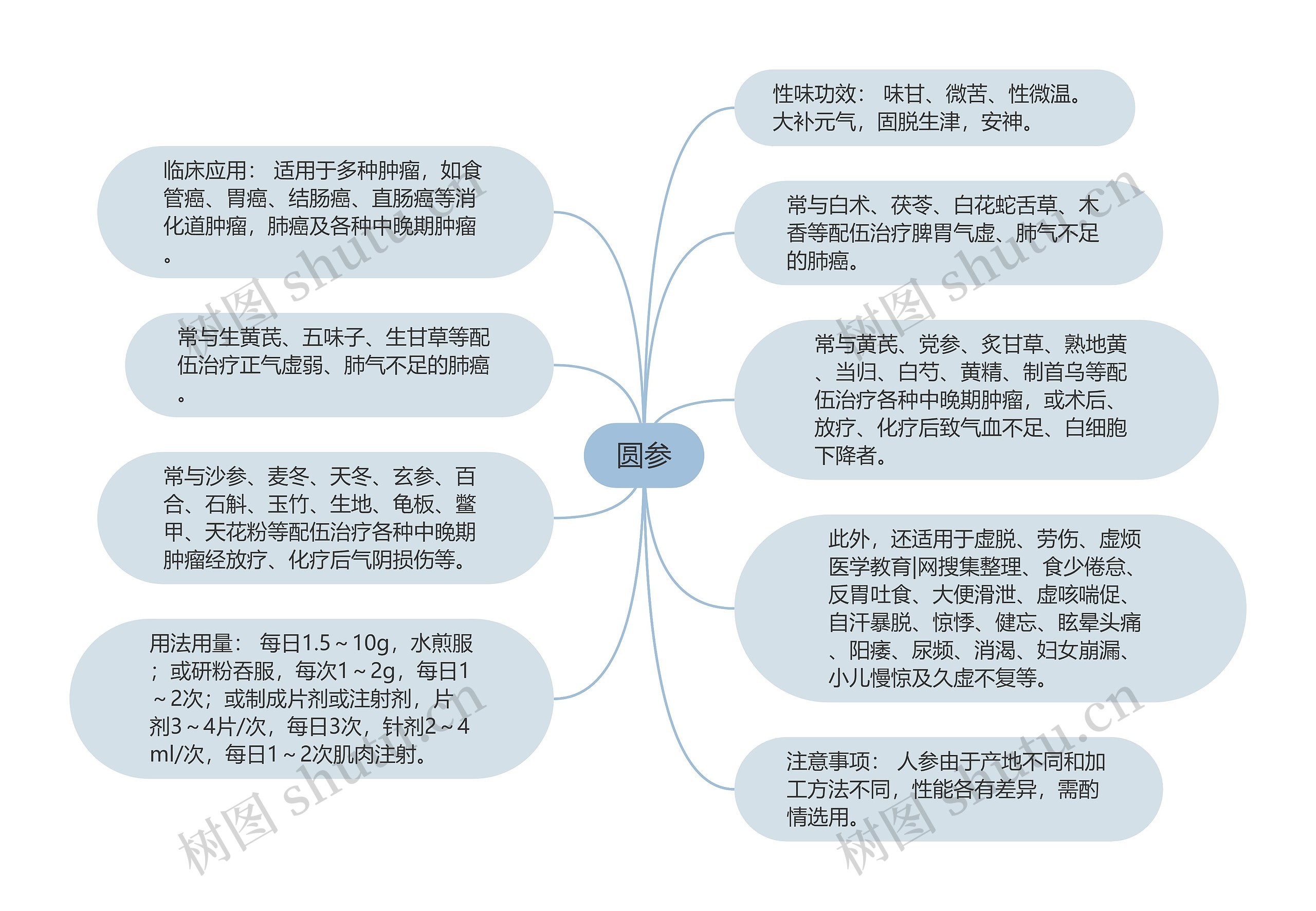 圆参思维导图