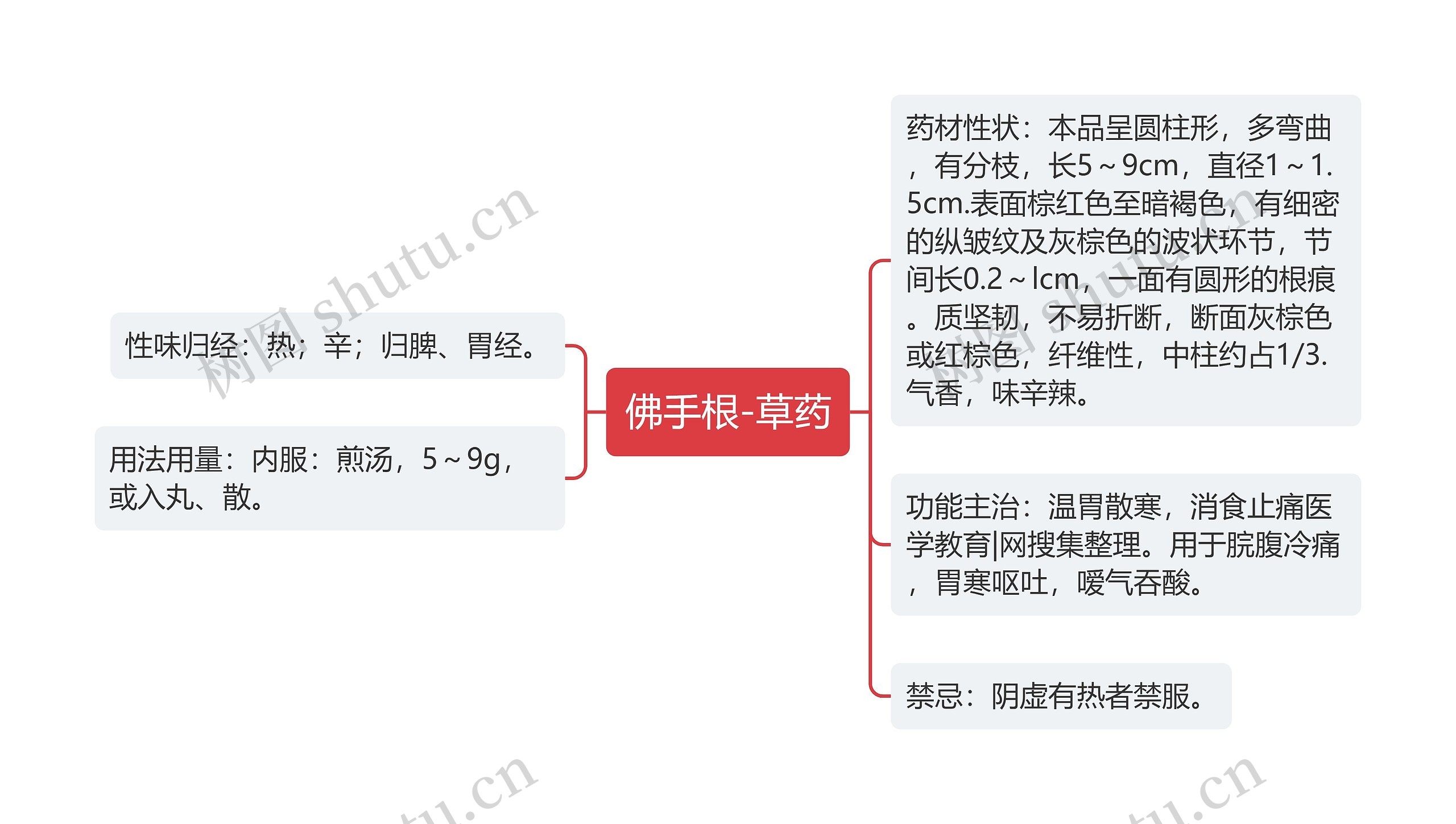 佛手根-草药思维导图