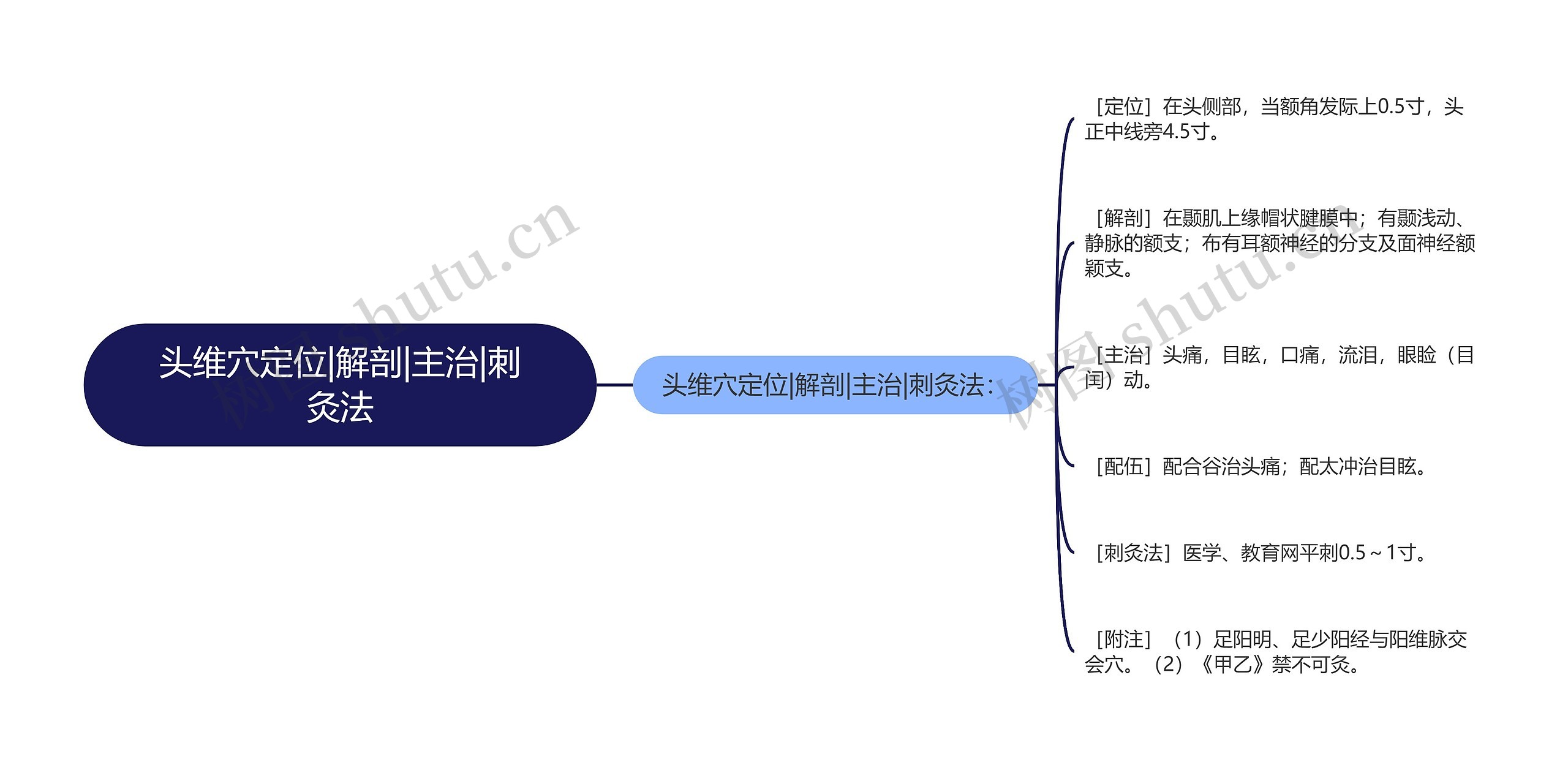 头维穴定位|解剖|主治|刺灸法思维导图