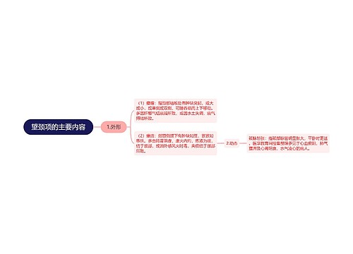 望颈项的主要内容