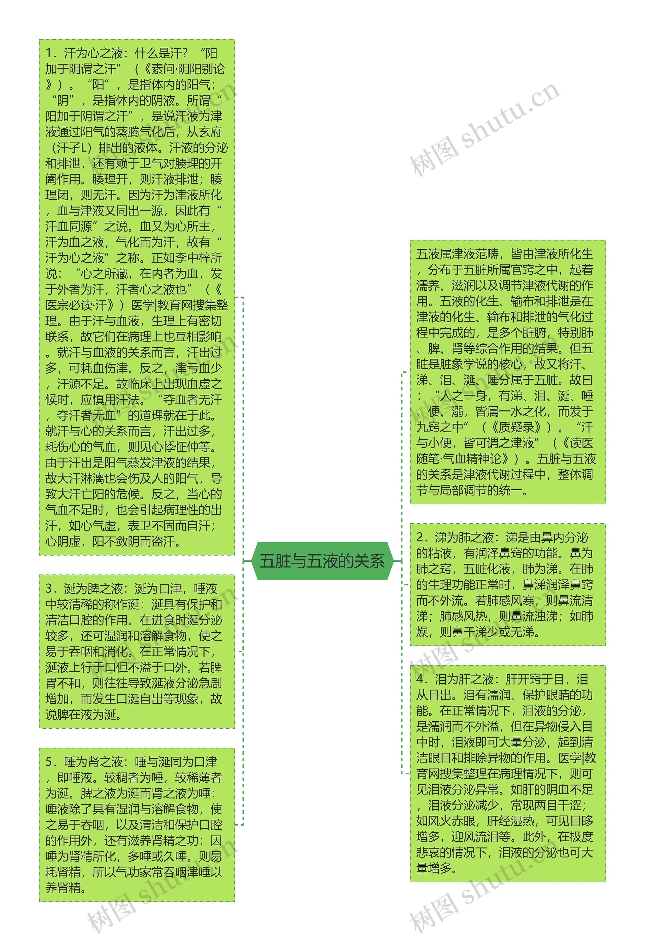 五脏与五液的关系思维导图